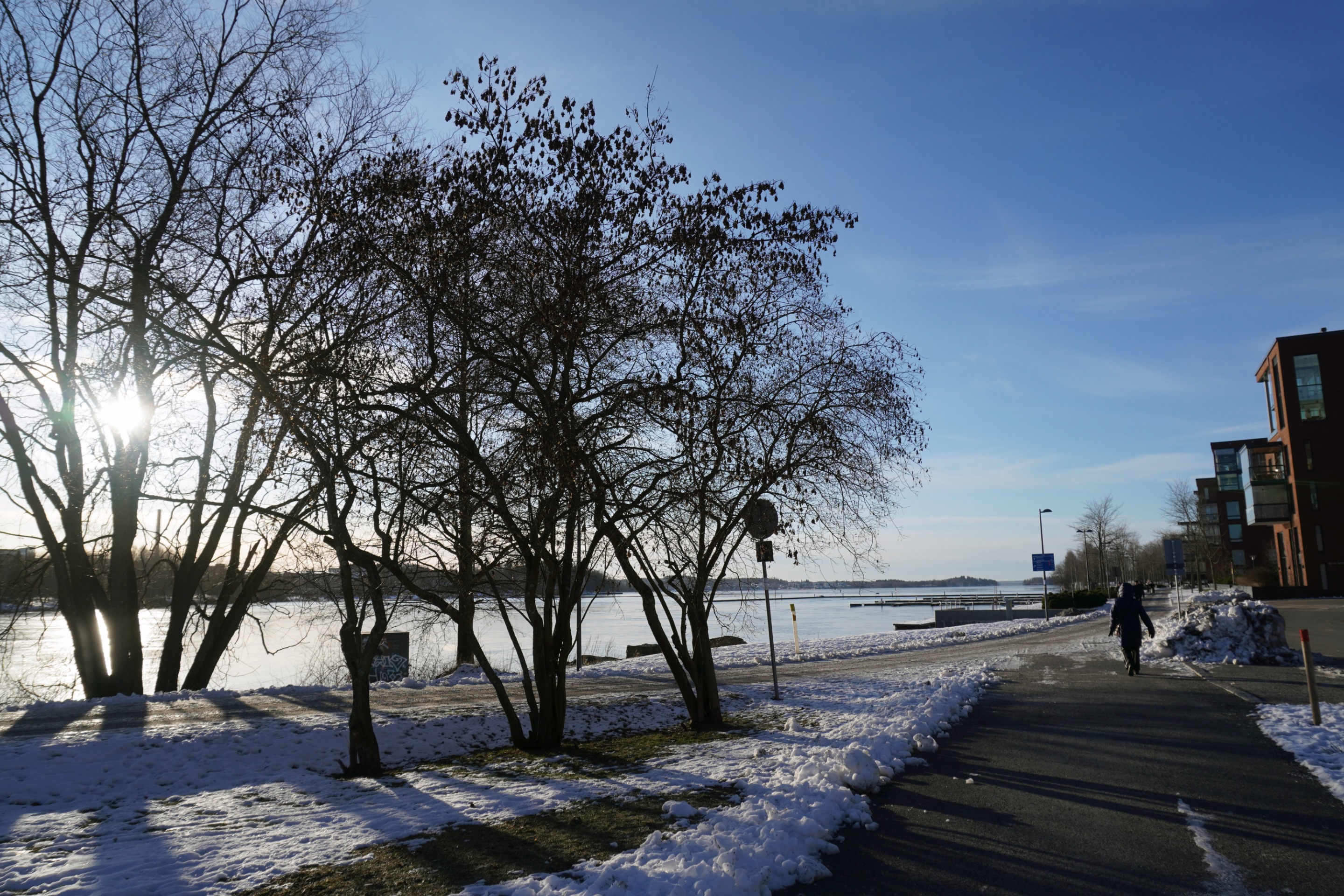 2020DSC02045.JPG