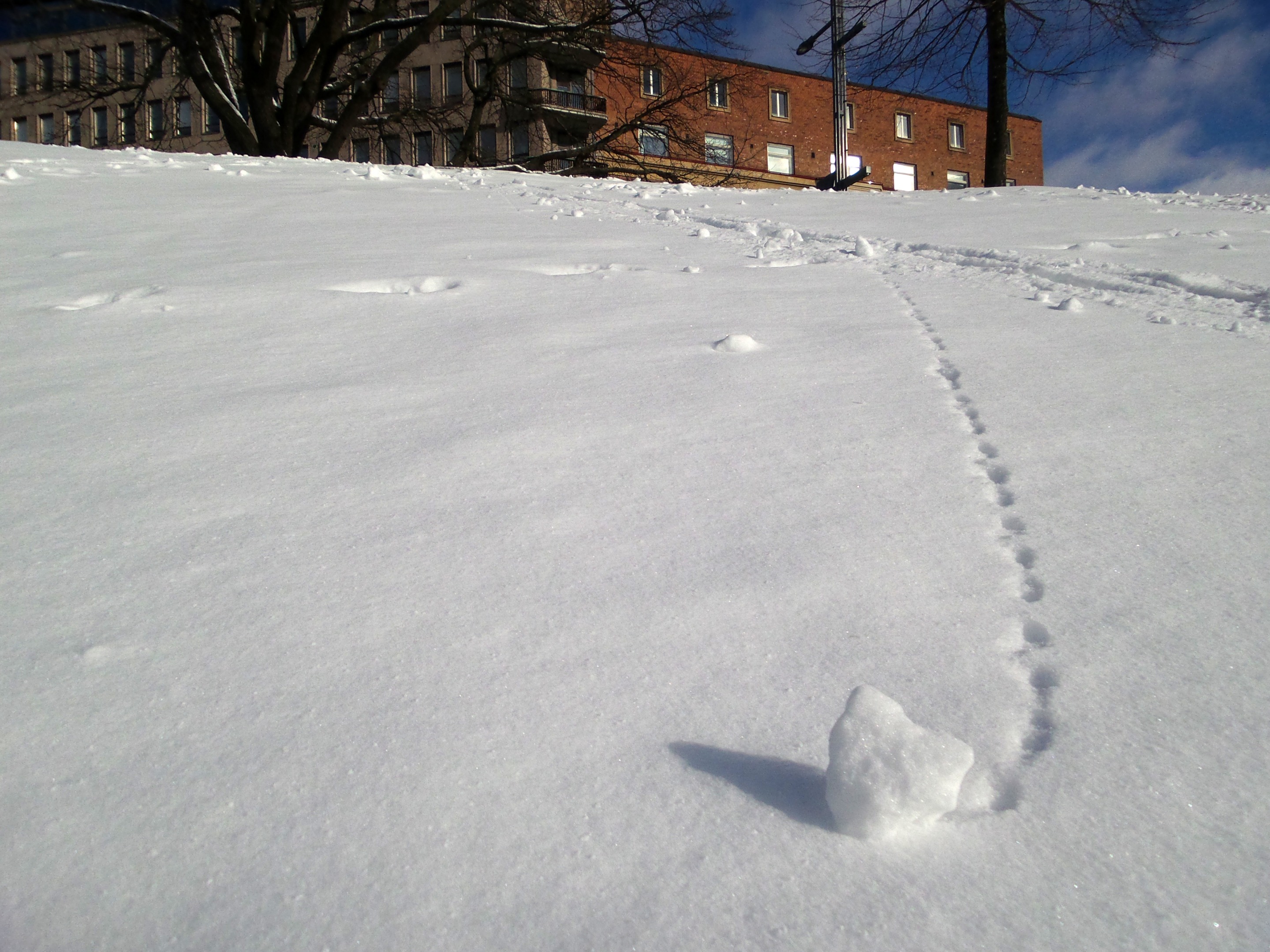 20160228_130952.jpg