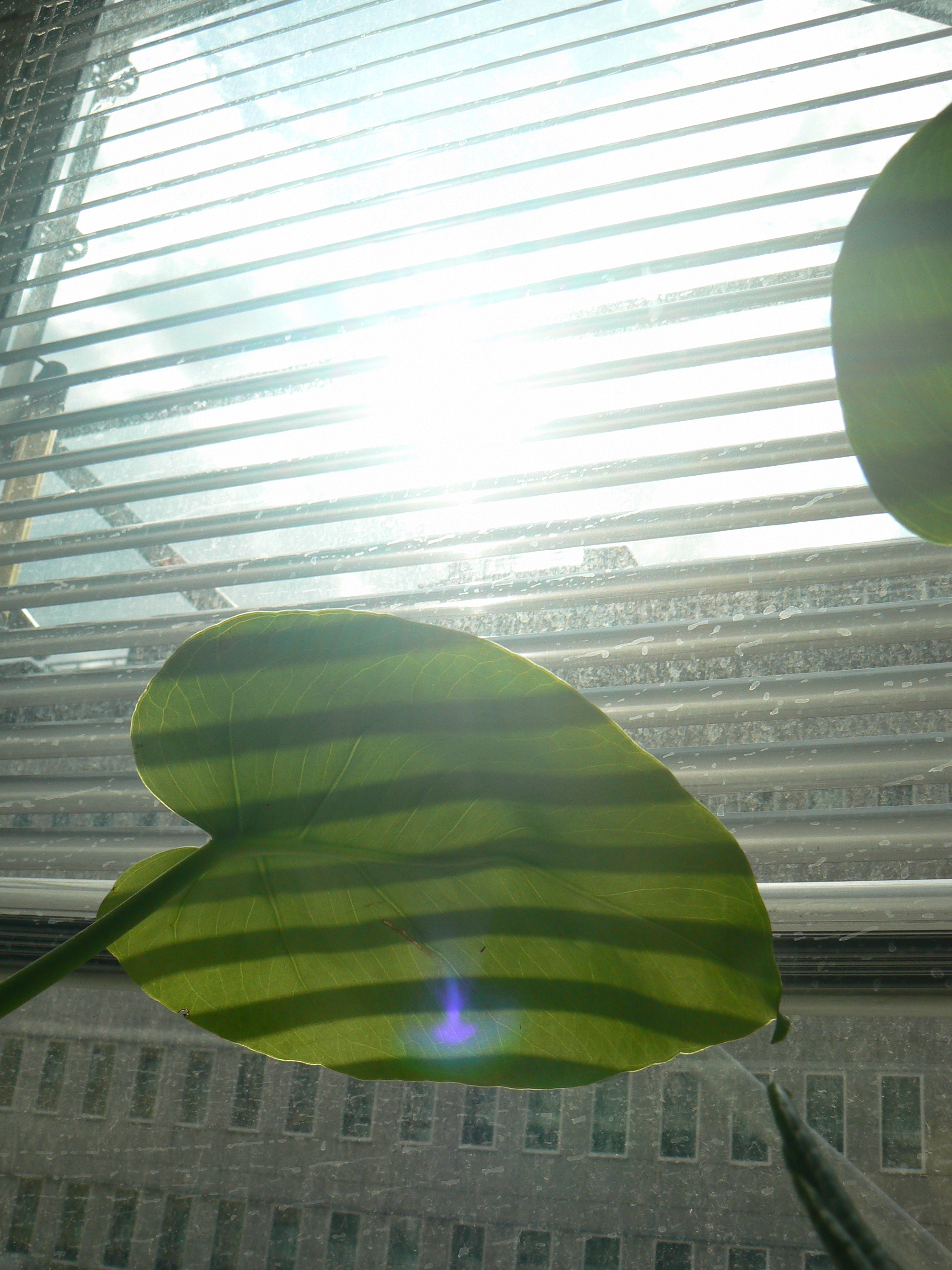 4_panasonic_P1140120.jpg