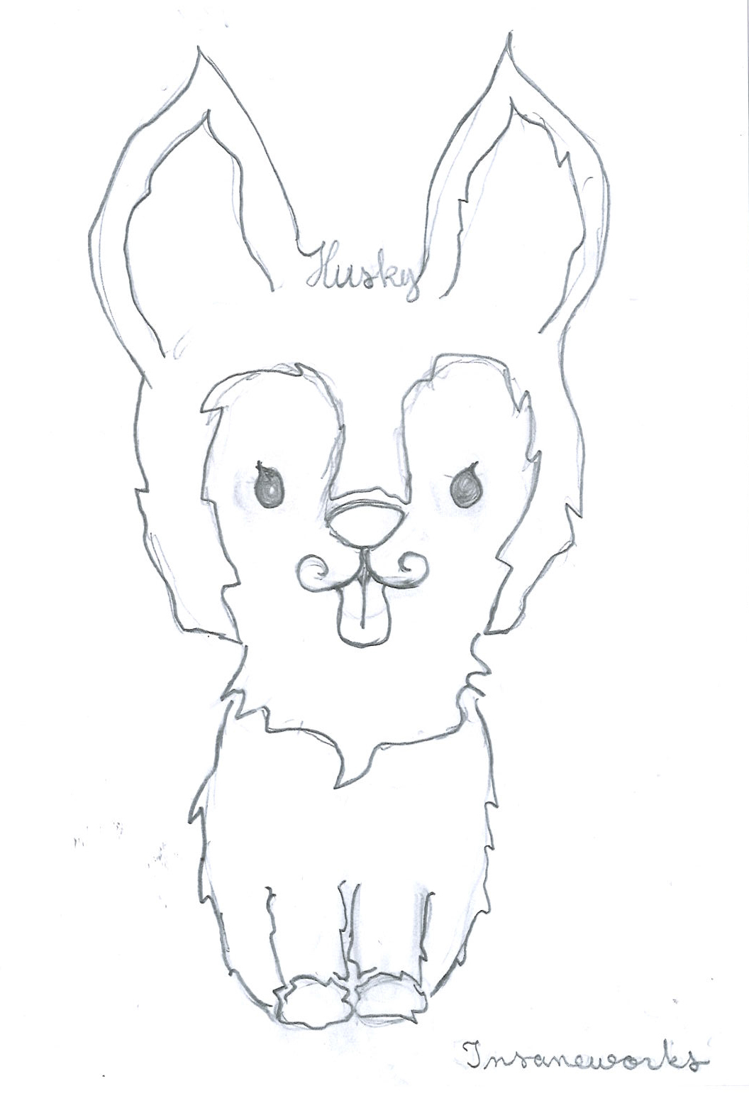 husky1.jpg