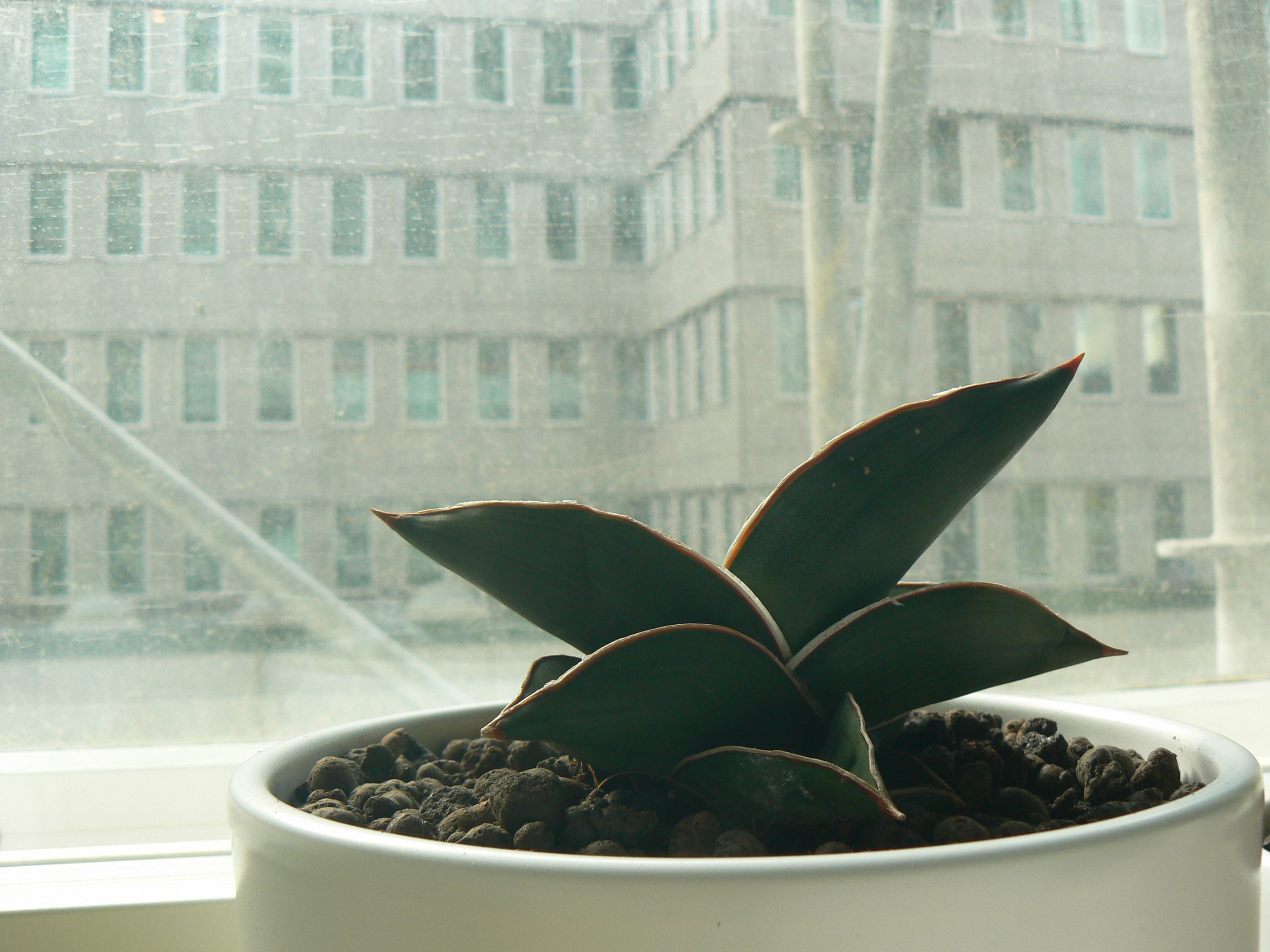 3_panasonic_P1140113.jpg