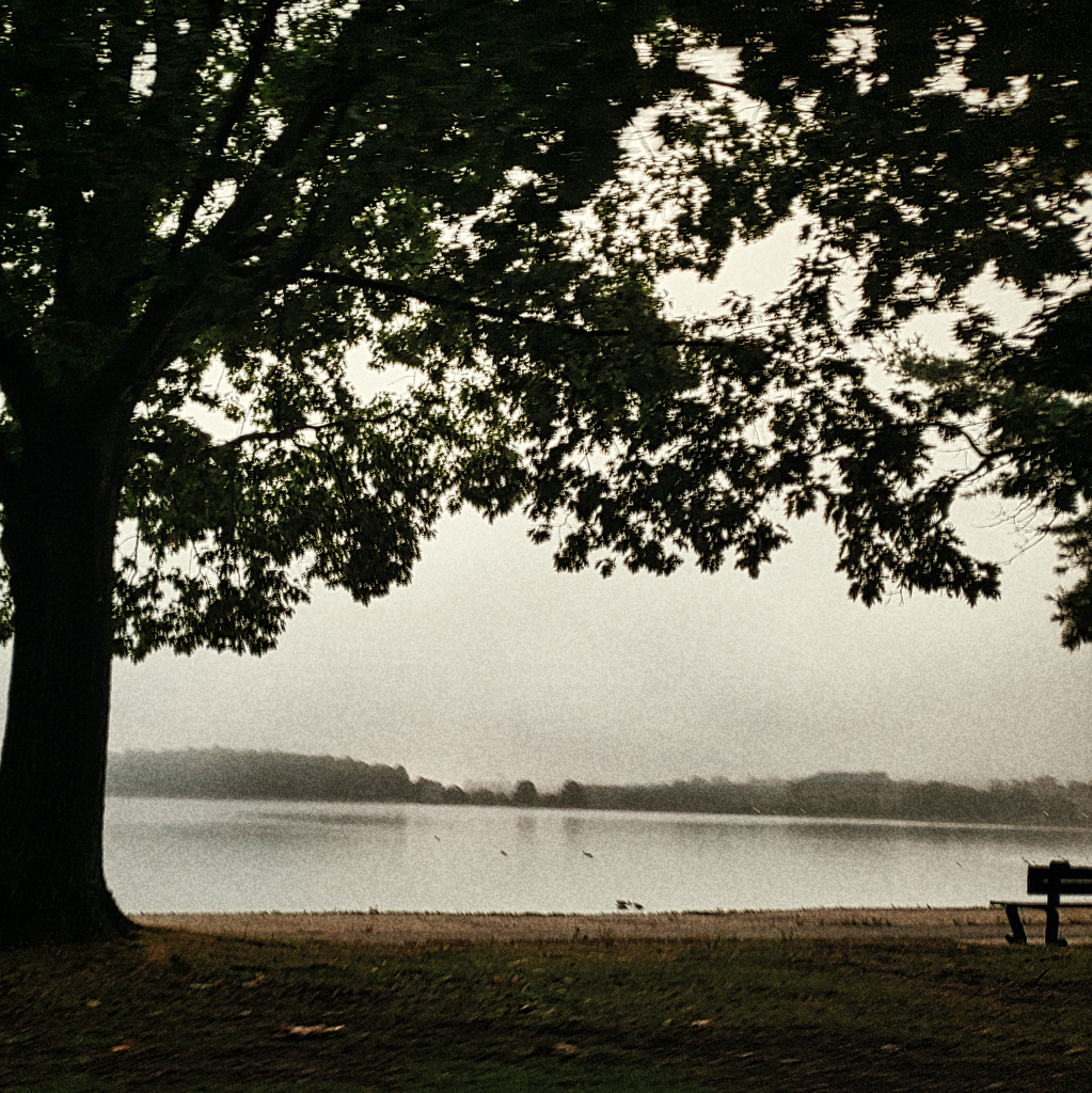 20190822_061735.jpg