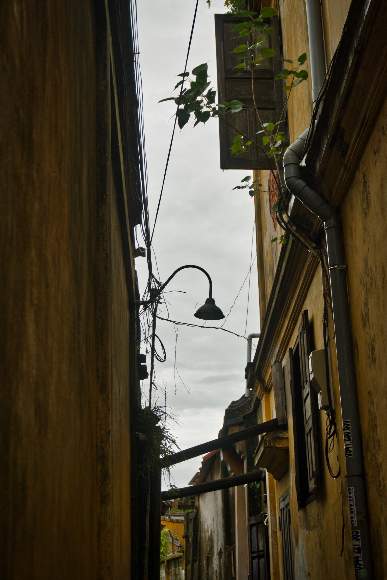 DSC03799.jpg