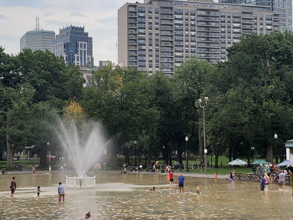 20190821_145355.jpg