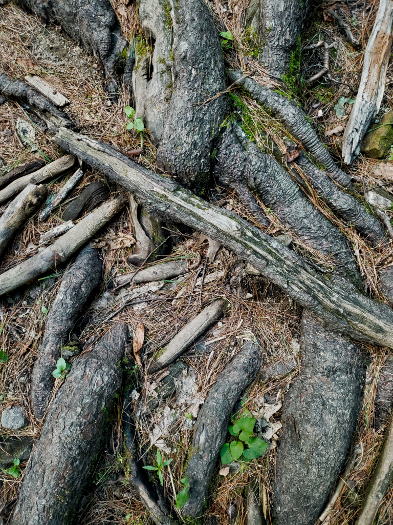 20190825_165031.jpg