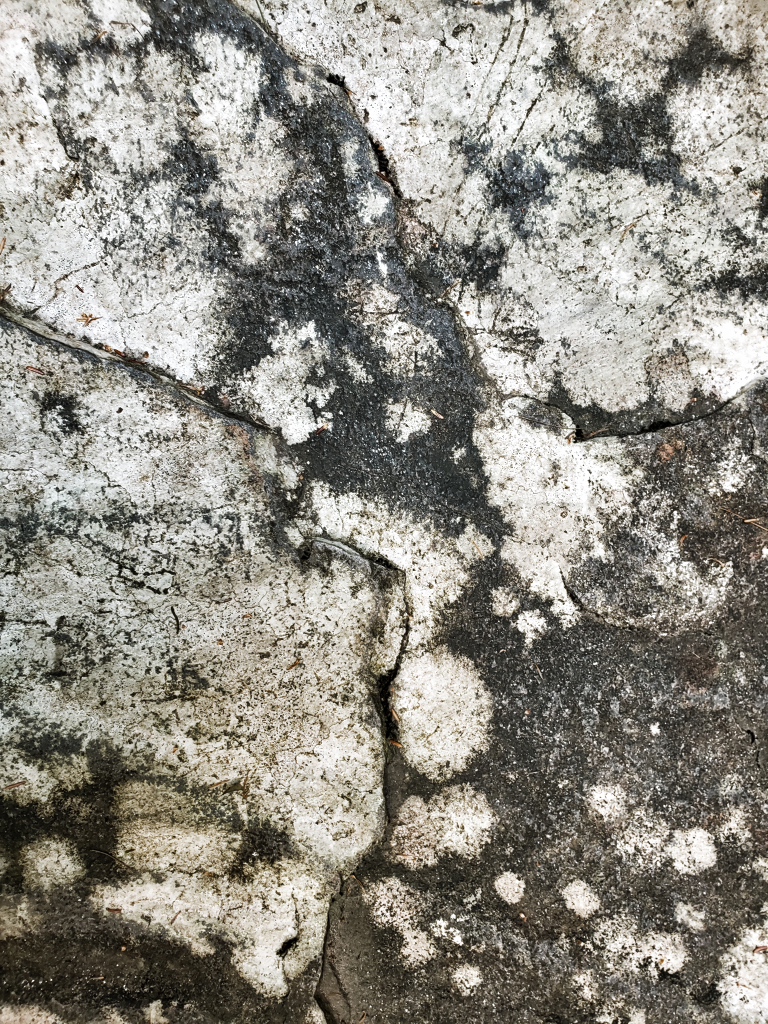 20190825_164753.jpg