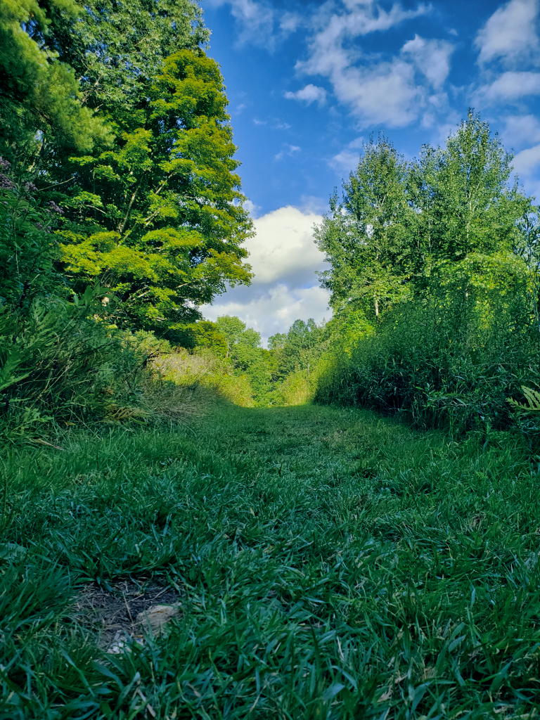 20190825_170615.jpg