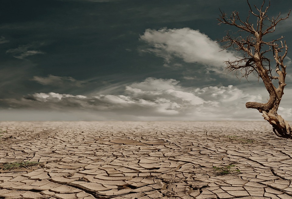 desert279862_960_720.jpg