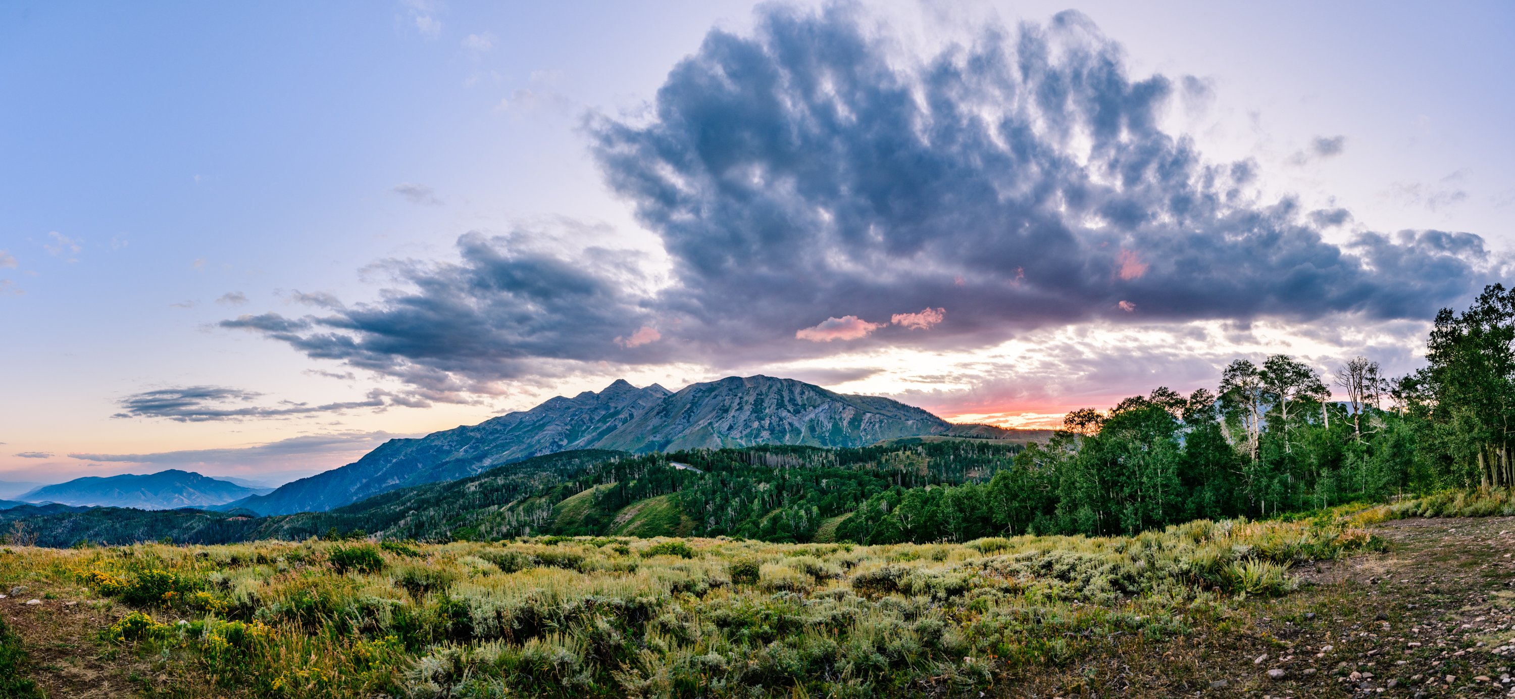 9000_85J8608Pano.jpg