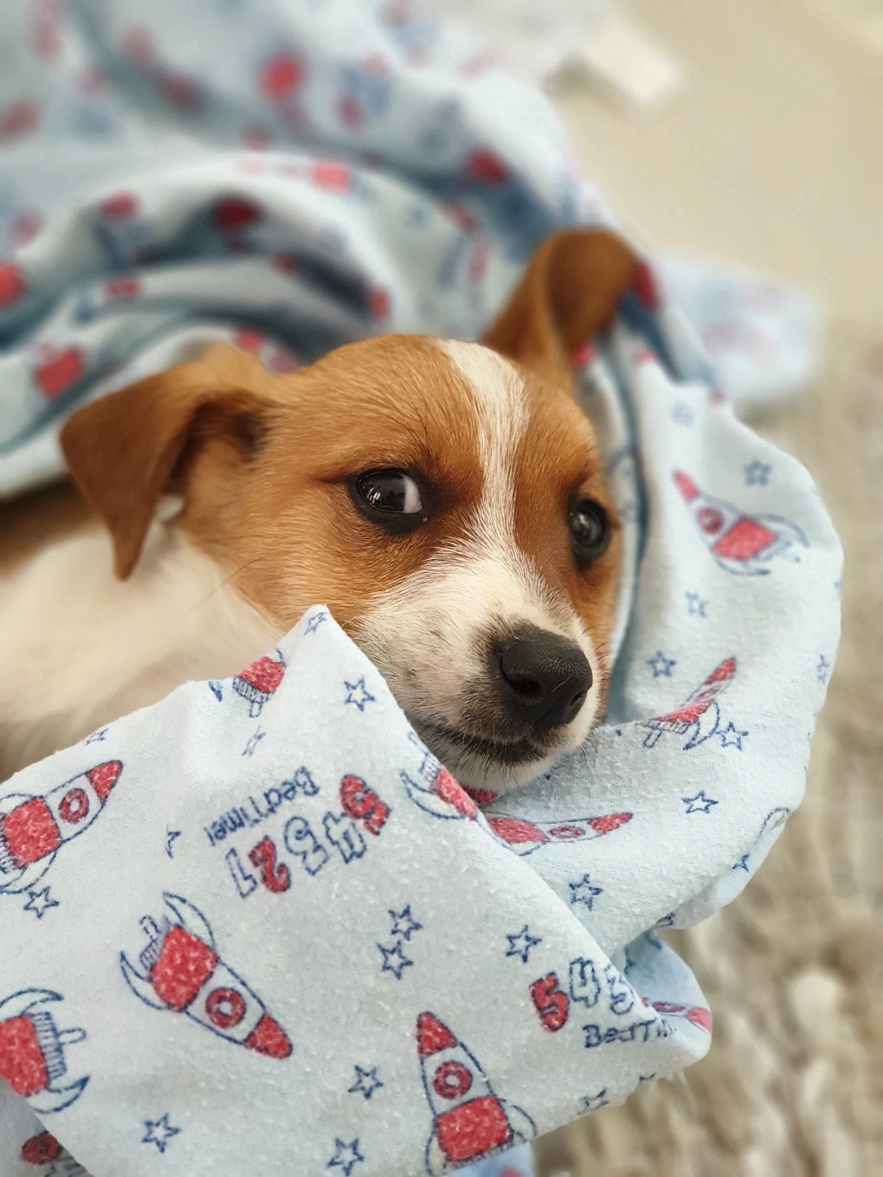 20190707_132712.jpg