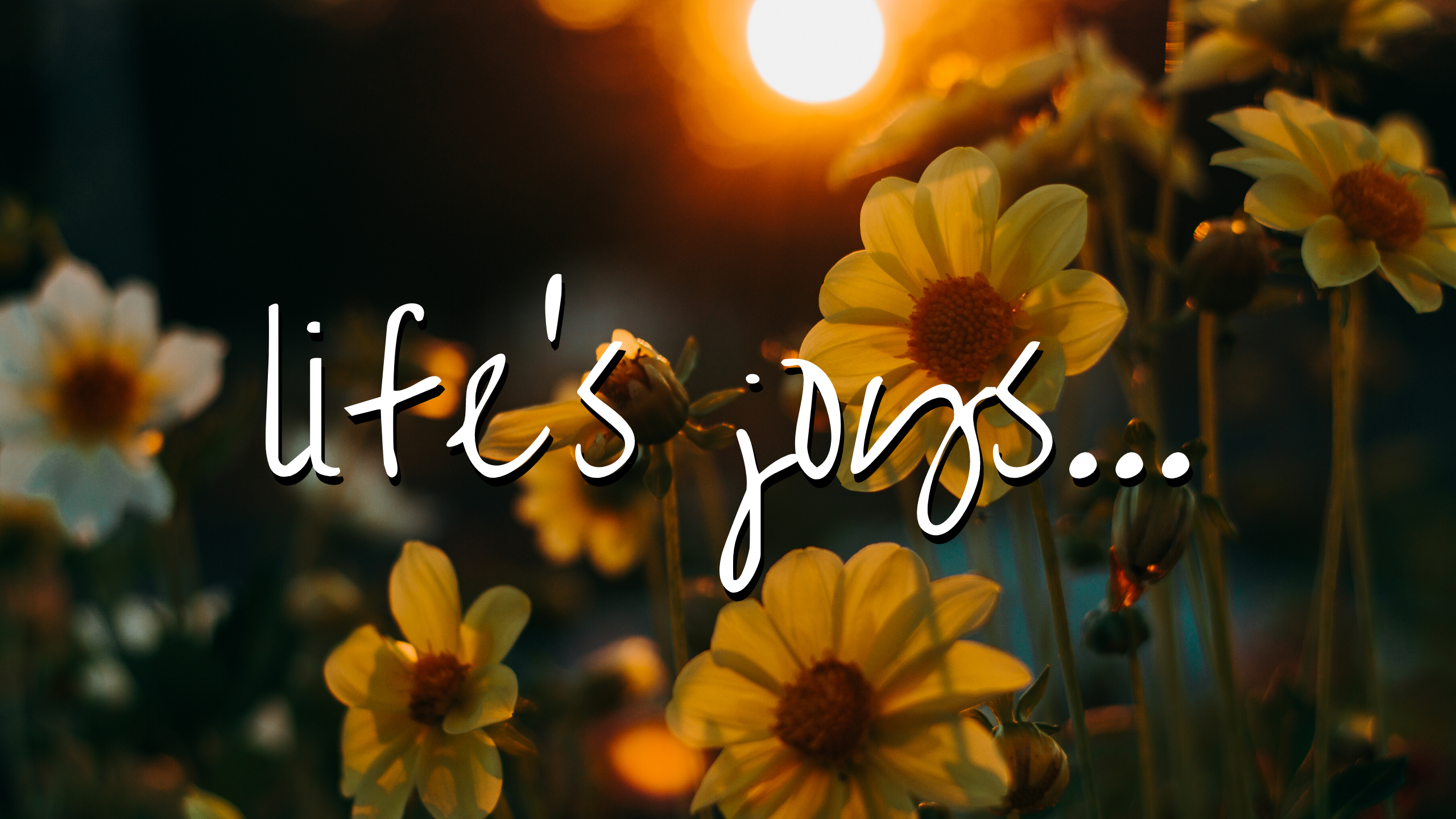 Experience lifes joys... 1.png