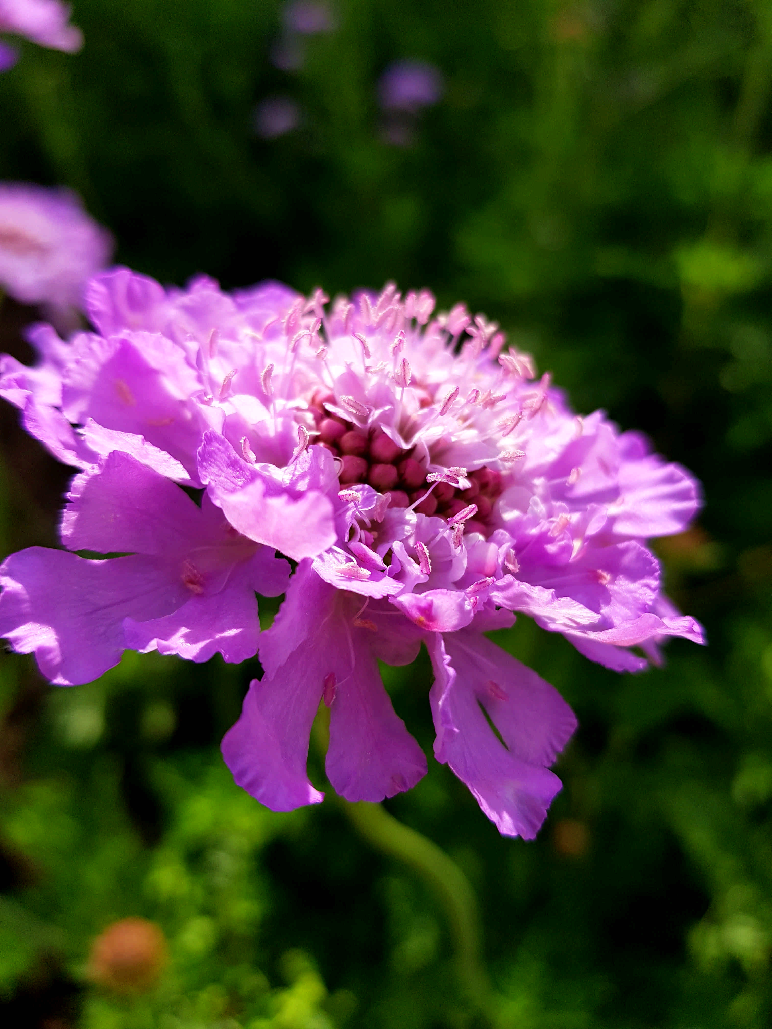 20180822_114124.jpg
