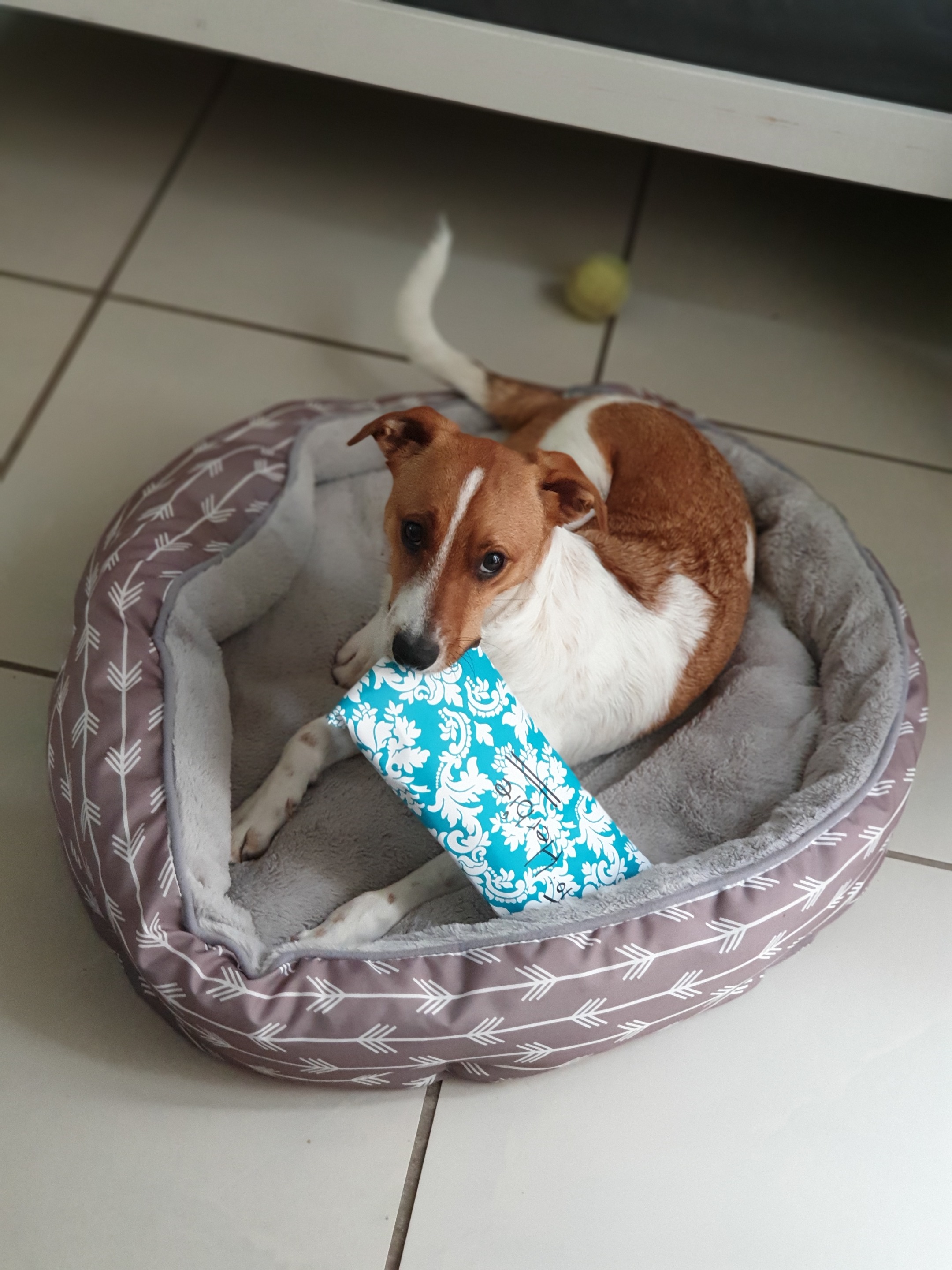 20191225_071049.jpg