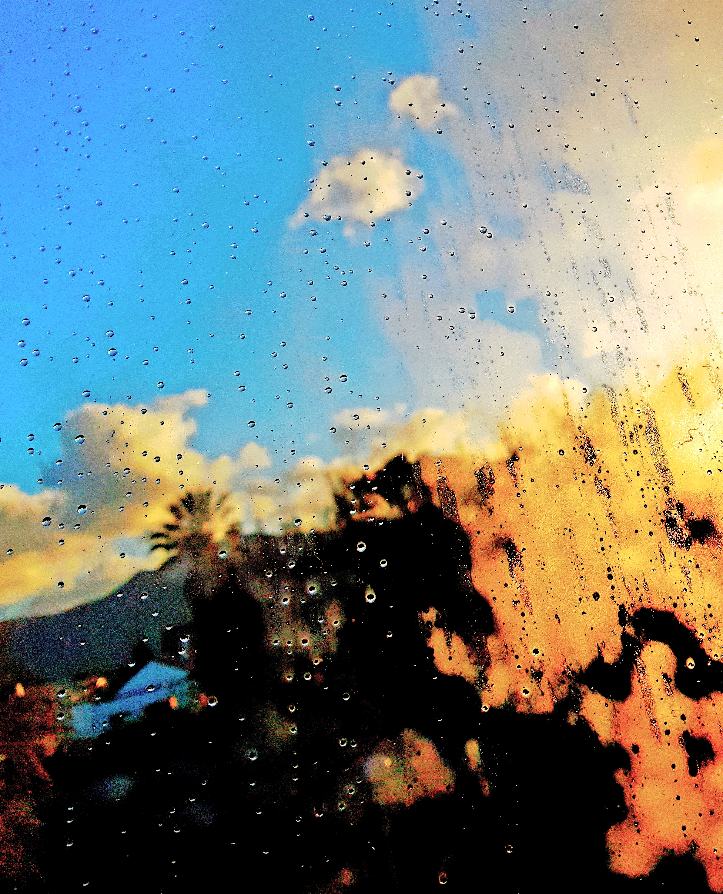 20180702_175518.jpg