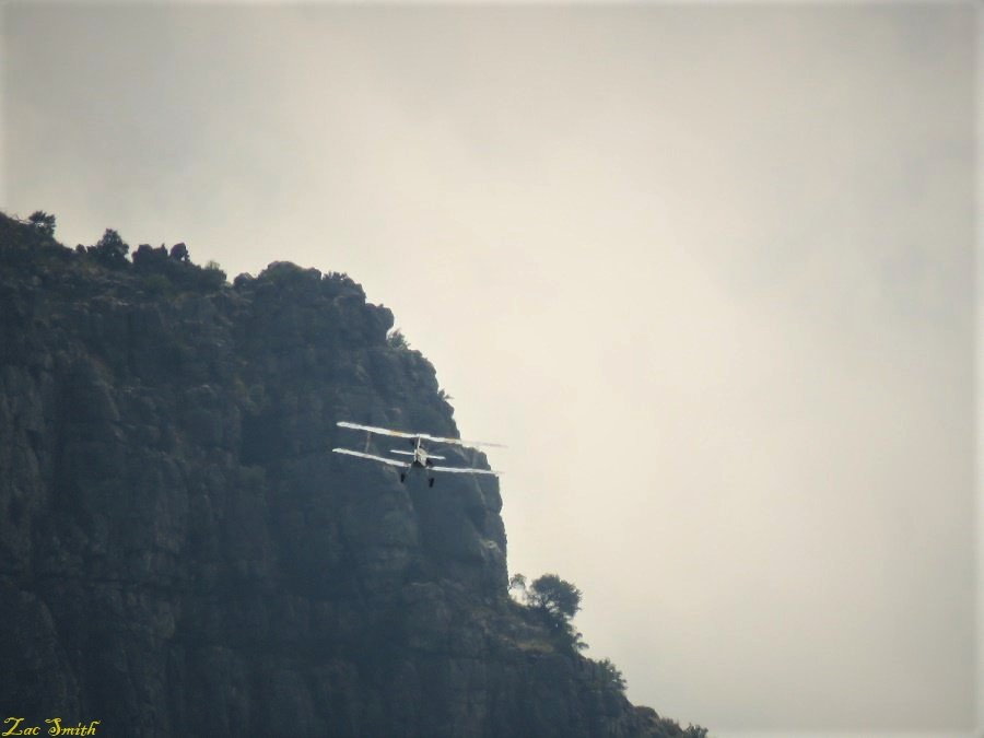 Cousin Stephen biplane.jpg