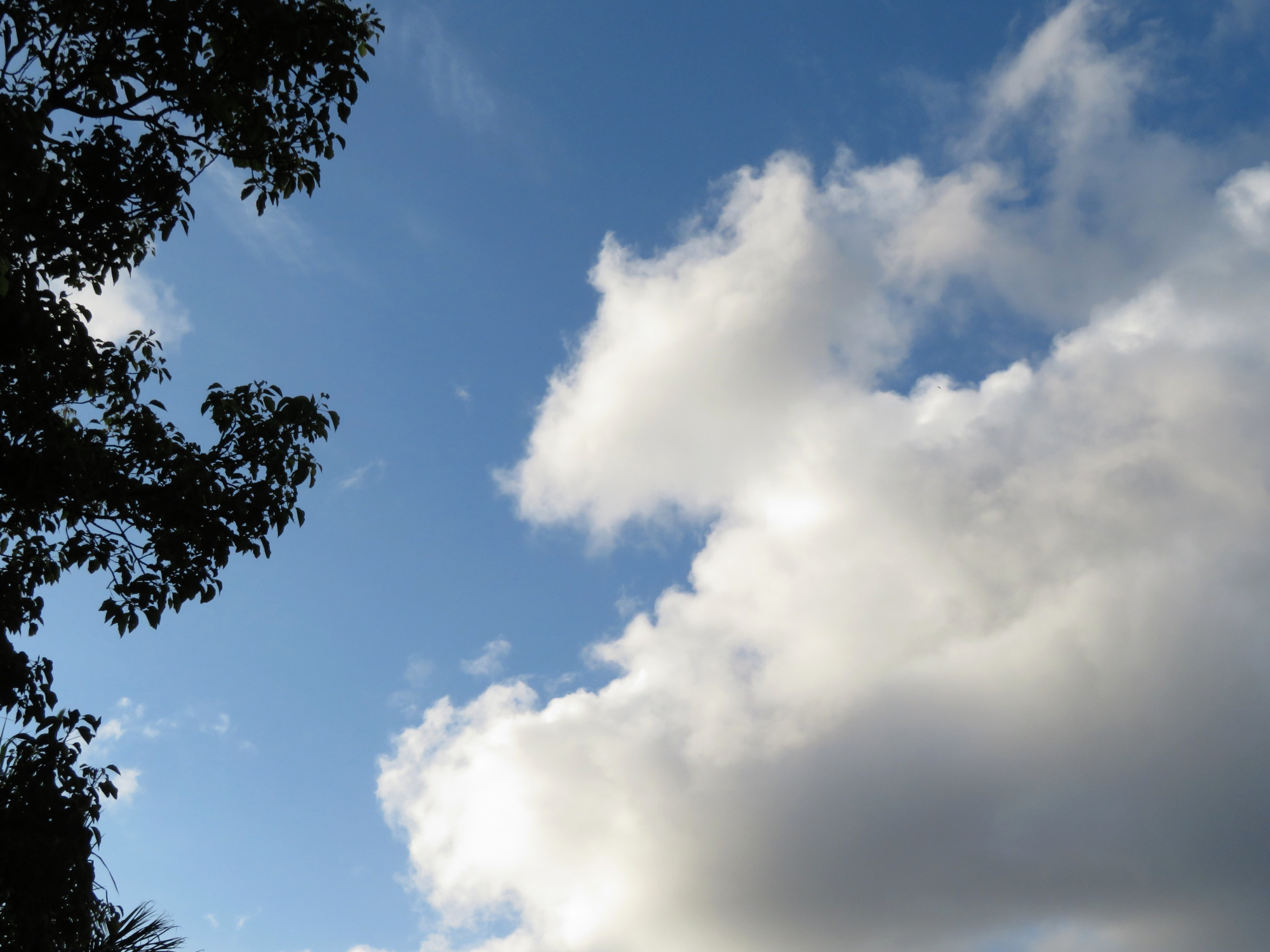 6177WhiteClouds.JPG