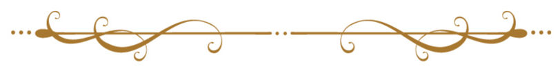 border decorative spiral gold.jpg