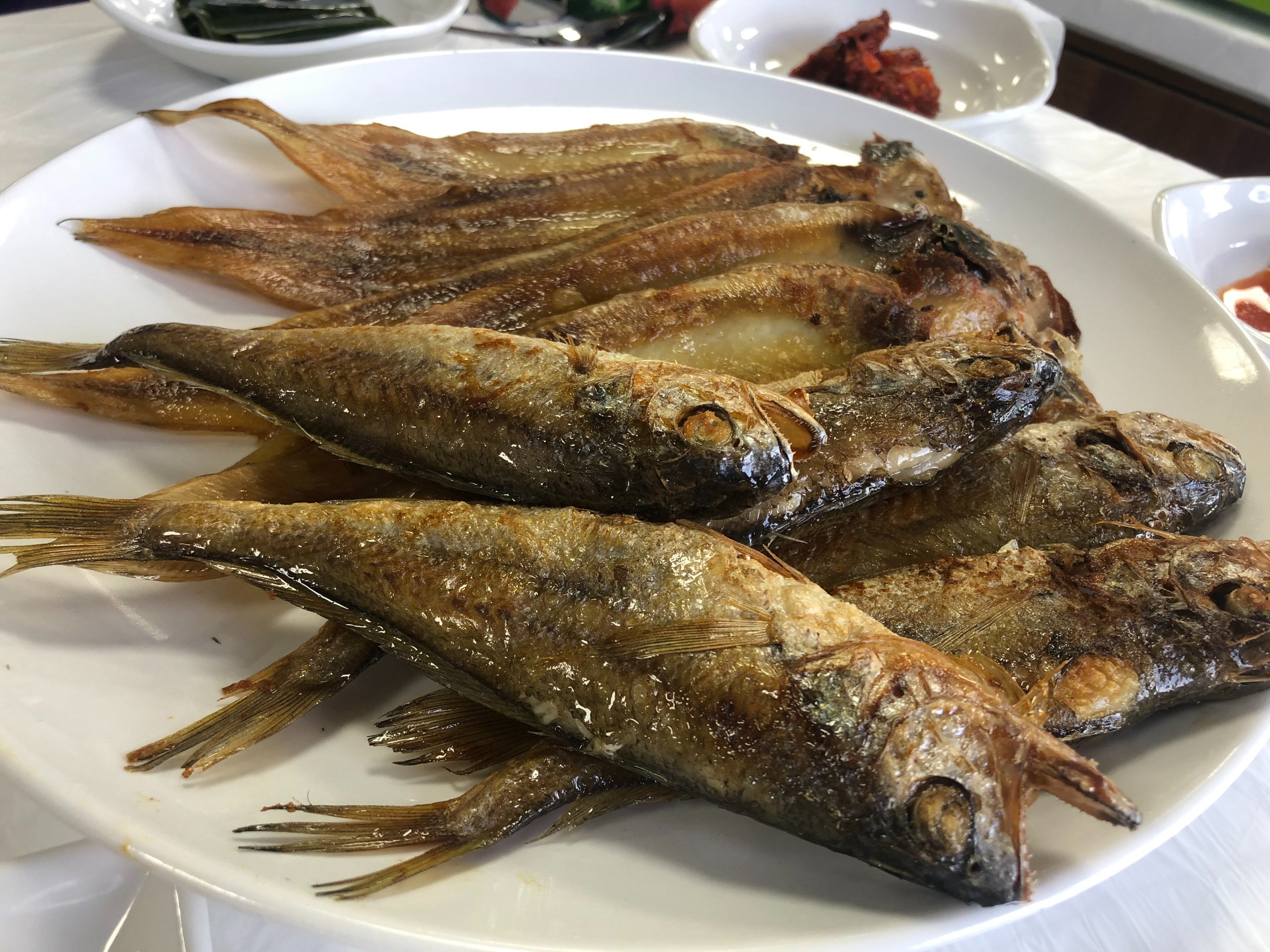 KakaoTalk_20200609_114348499.jpg