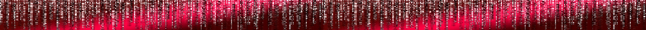 matrix banner.png