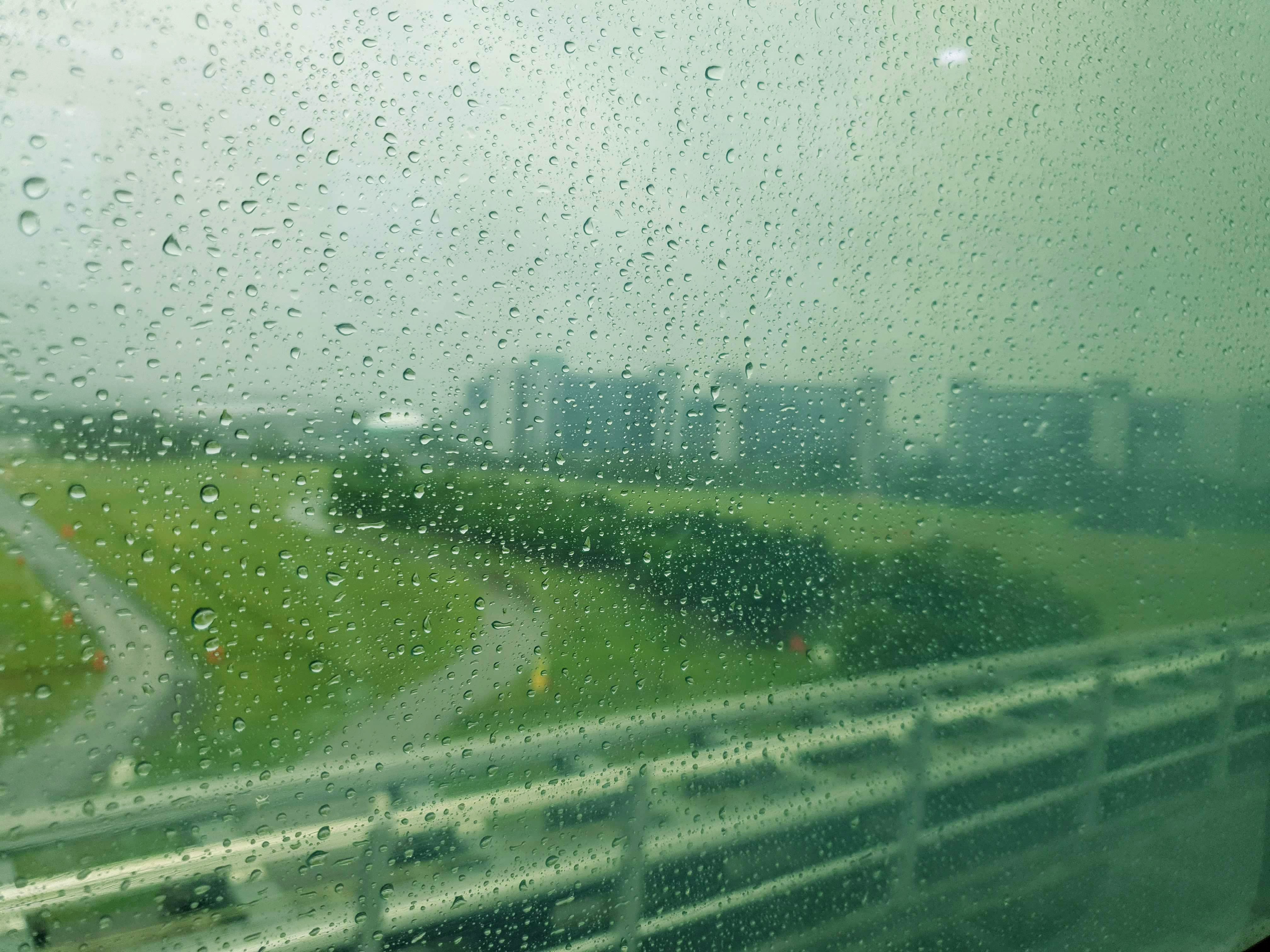 20190904_101743.jpg