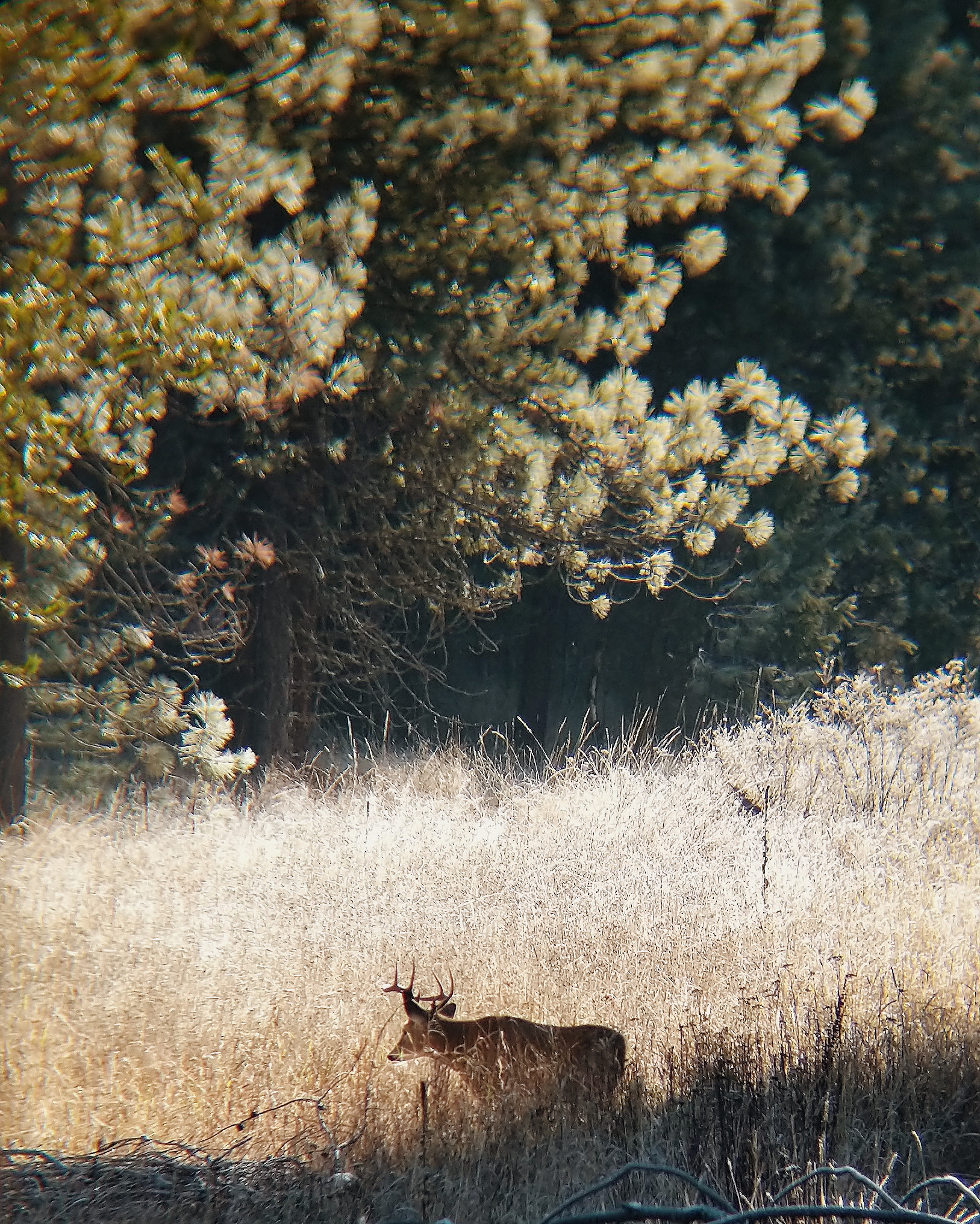 20181117 09.17.04 2.jpg