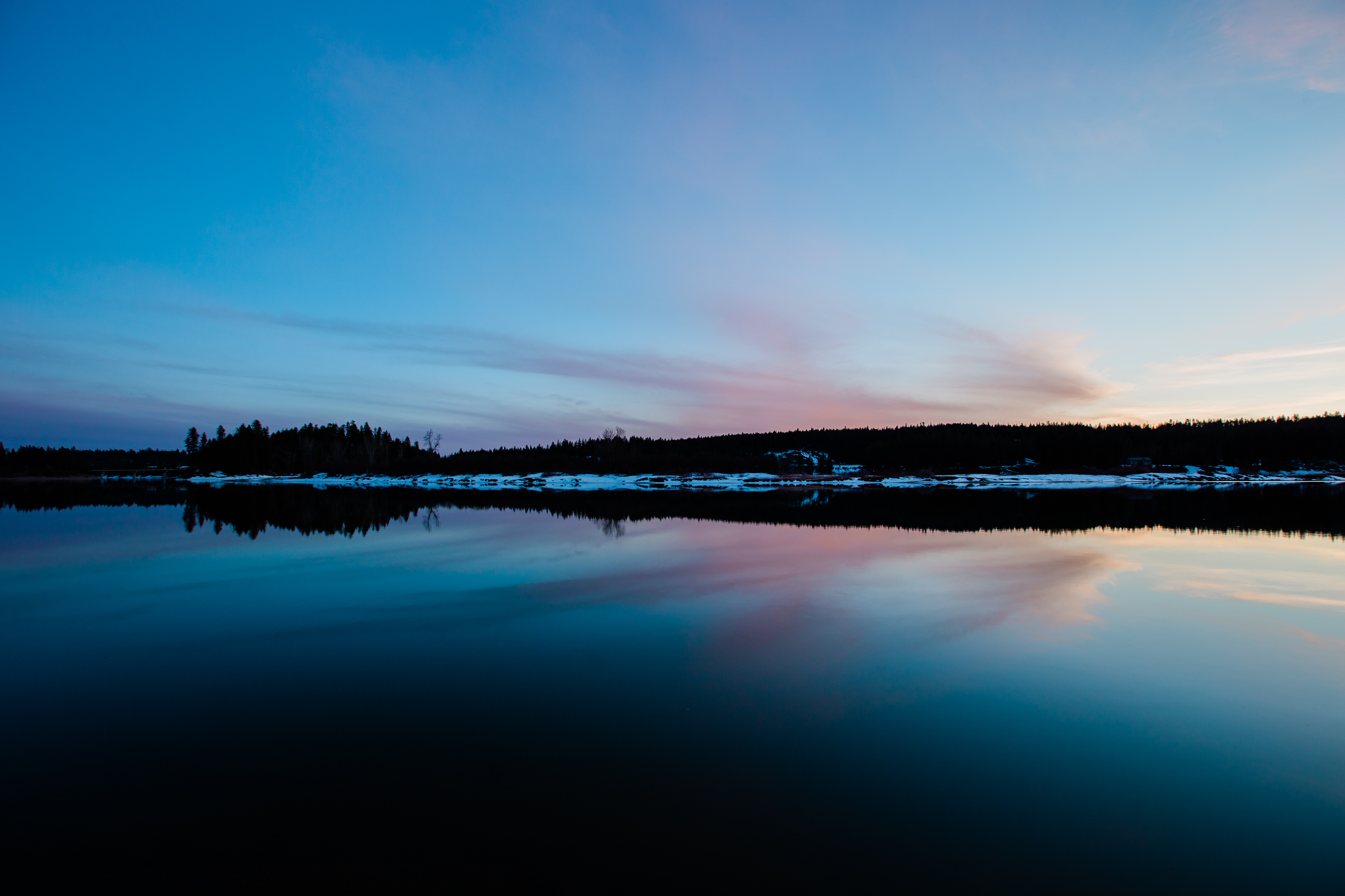 20190326IMG_2666.jpg