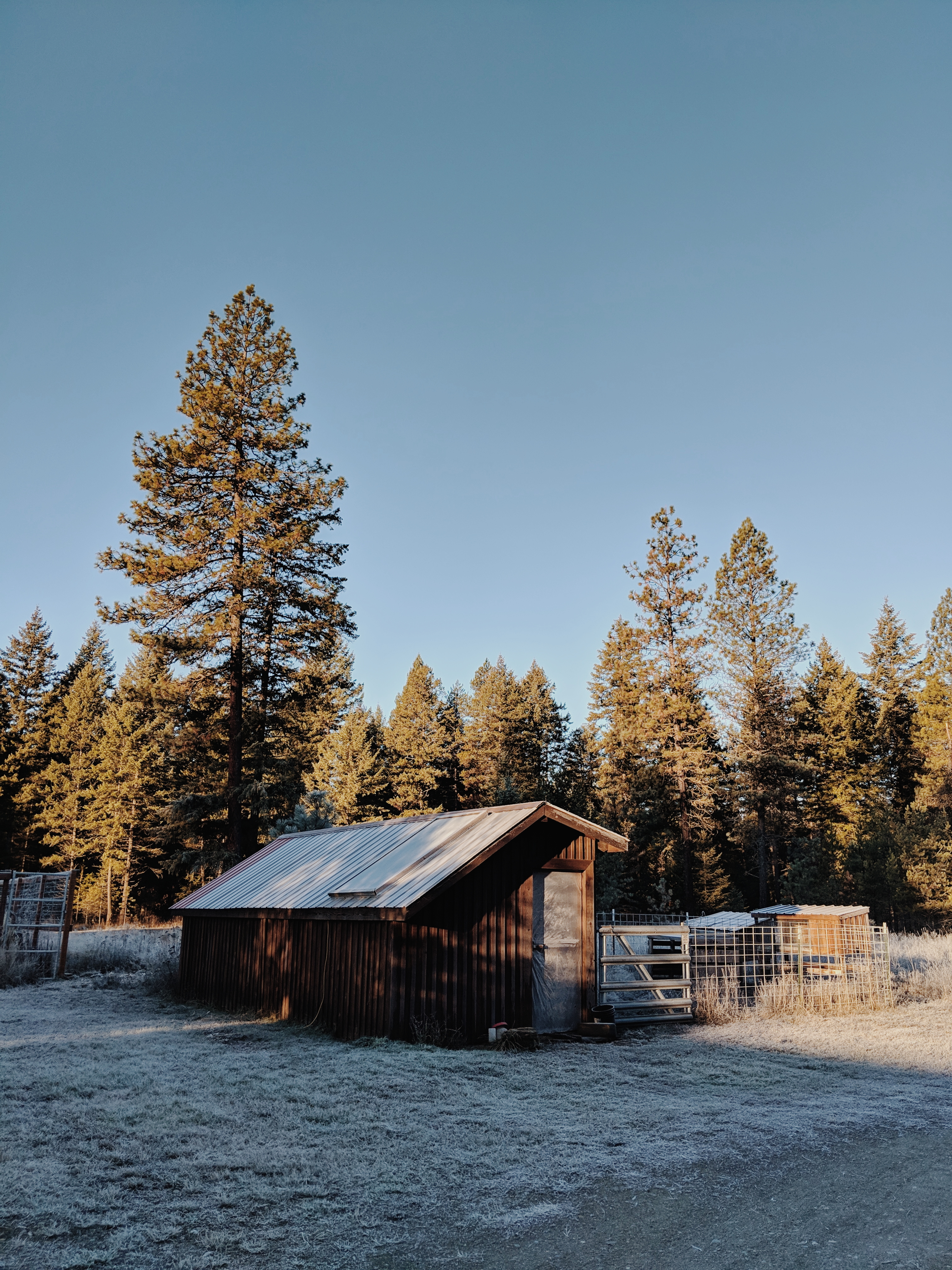 20181117 08.04.24 1.jpg