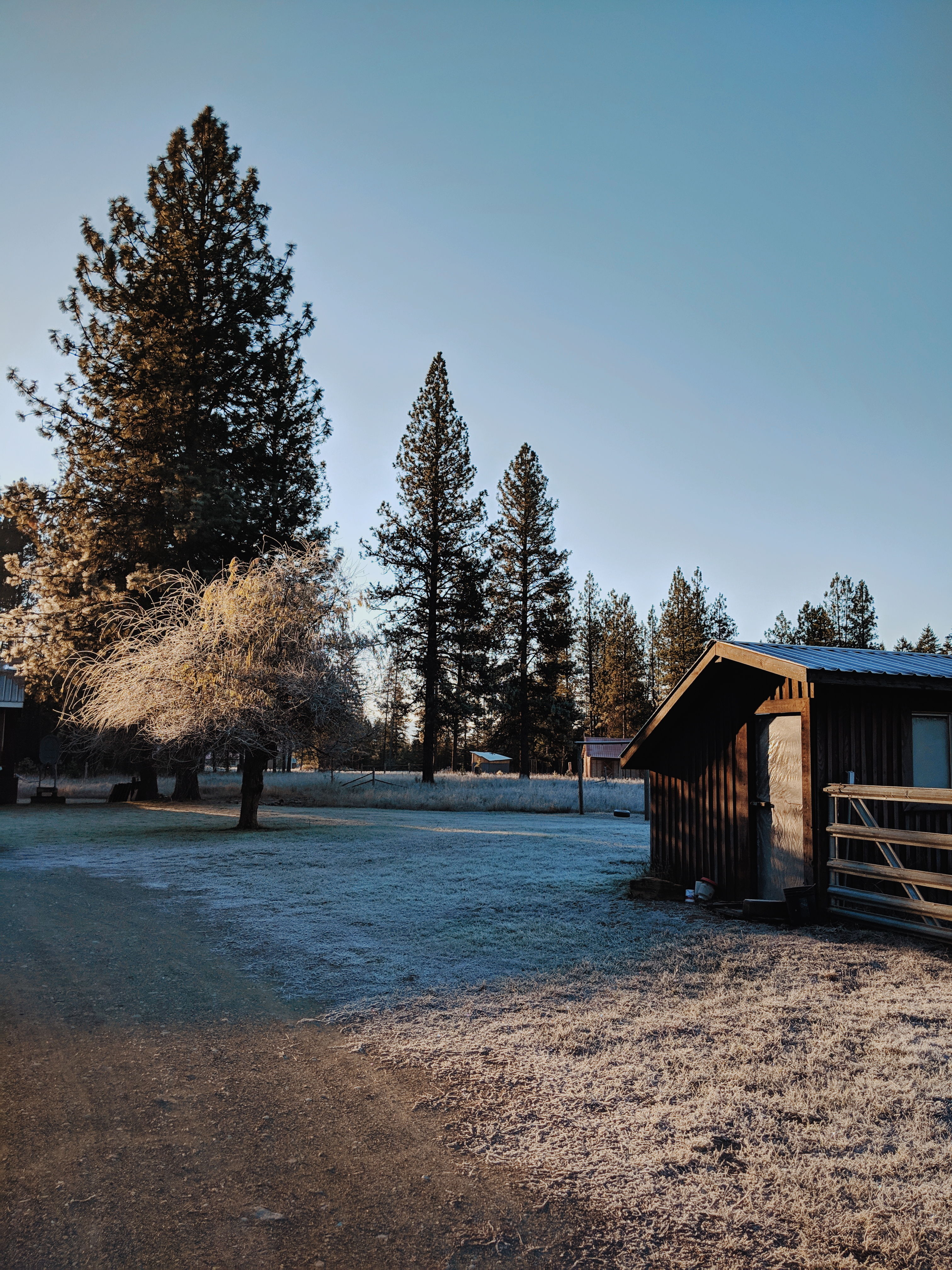 20181117 08.04.23 1.jpg