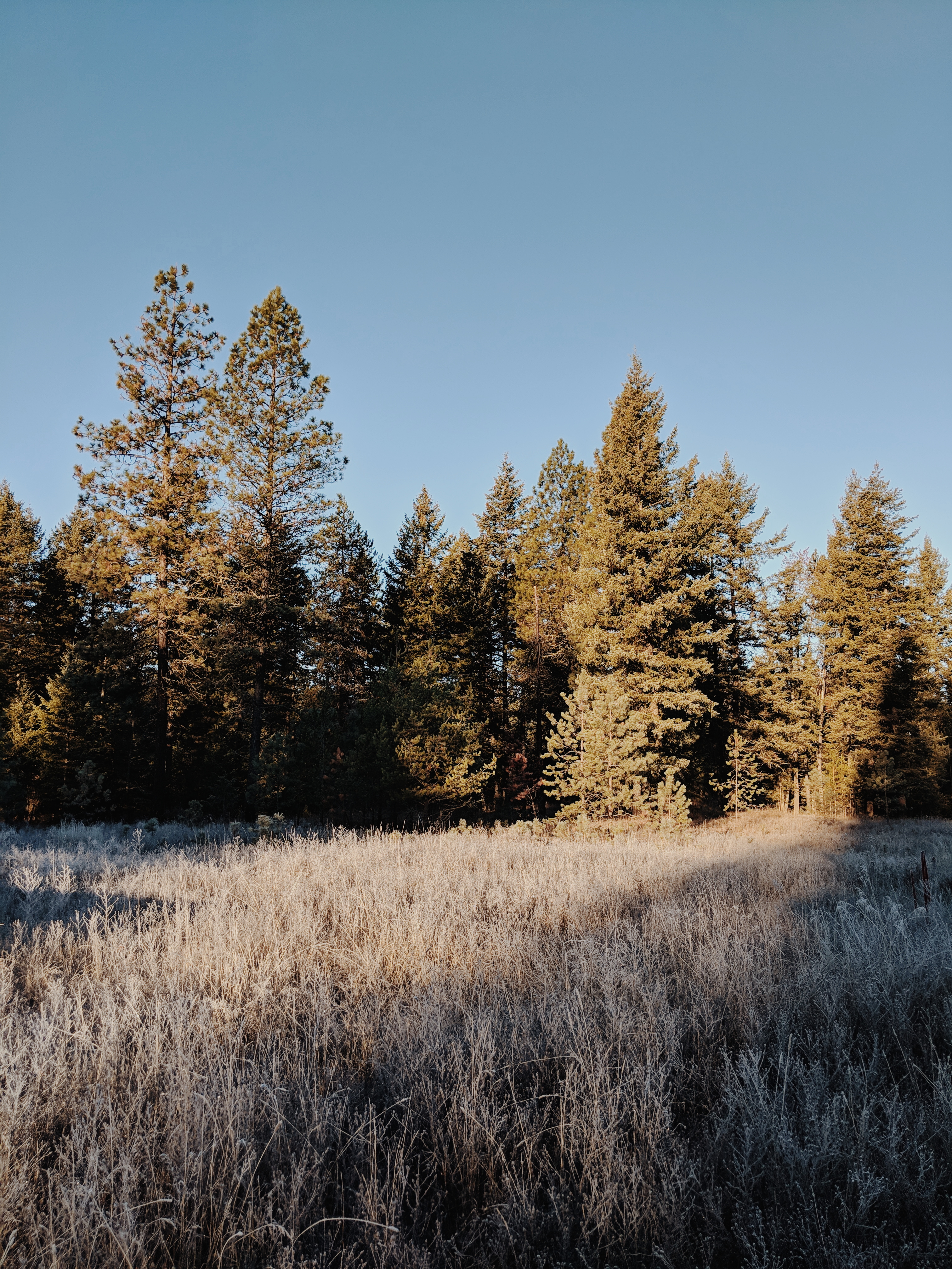 20181117 08.04.25 1.jpg