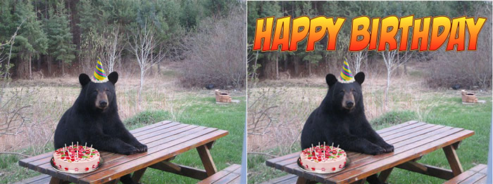 birthdaymeme.jpg