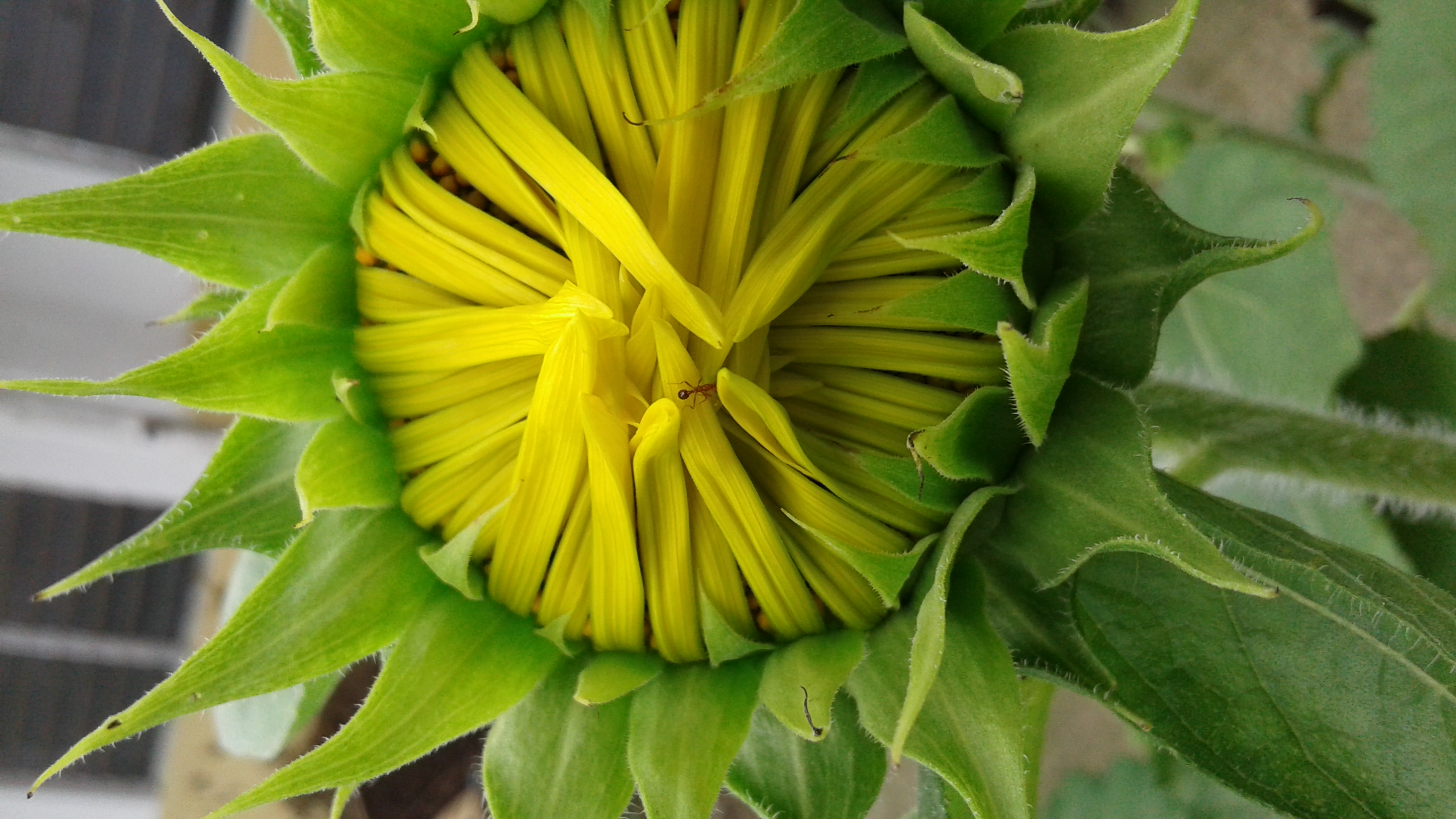 20190822_102725.jpg