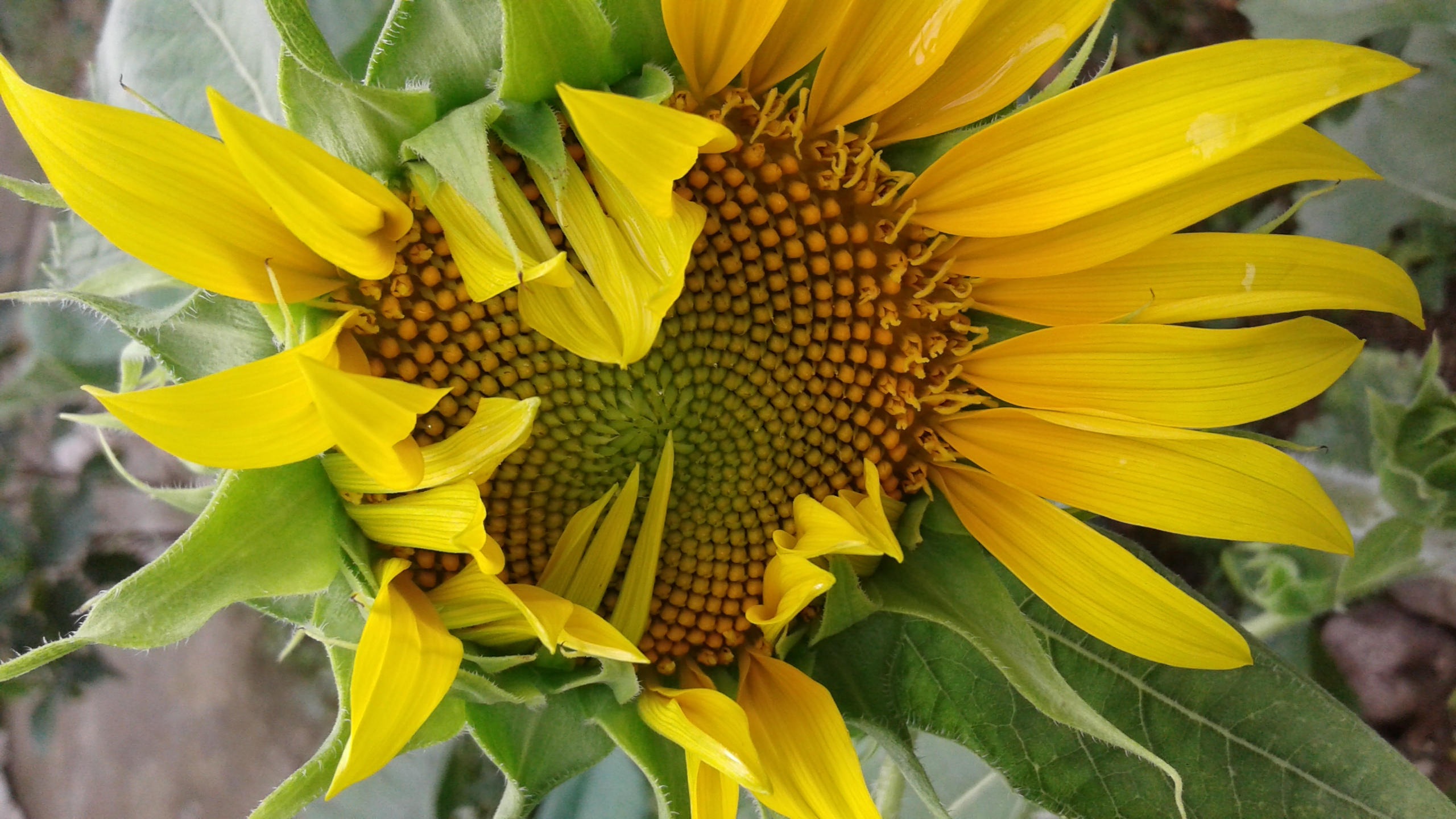 20190823_094410.jpg