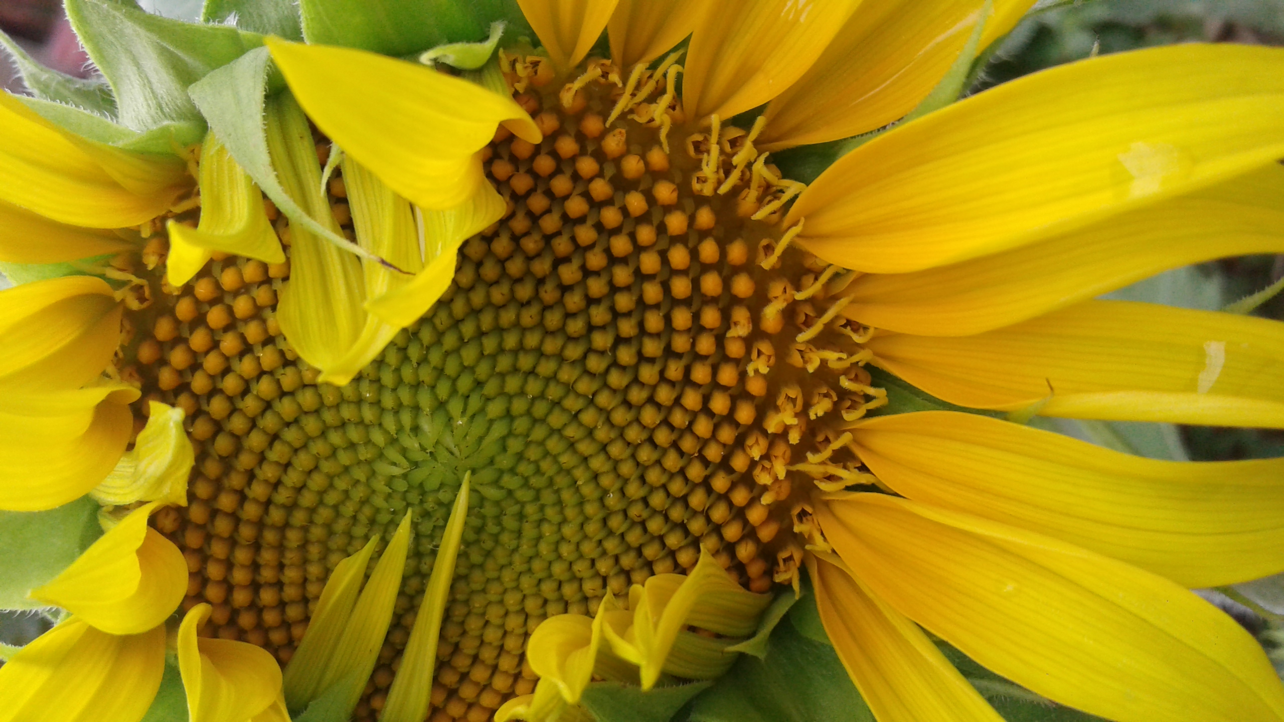 20190823_094350.jpg