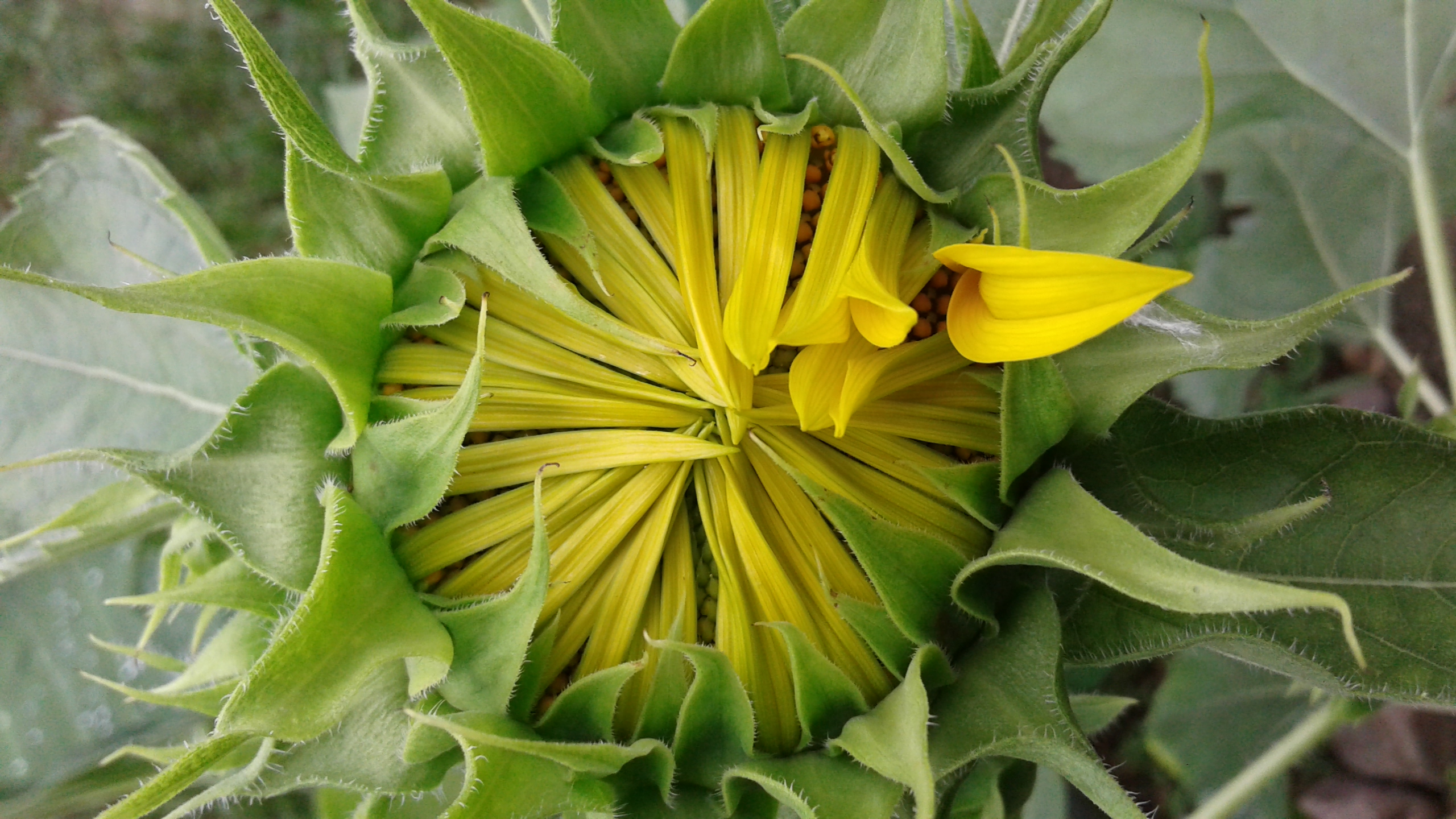 20190822_102645.jpg