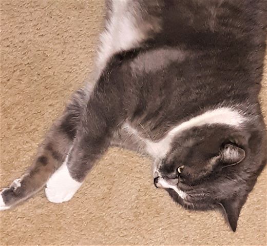 20200111_192215 2.jpg