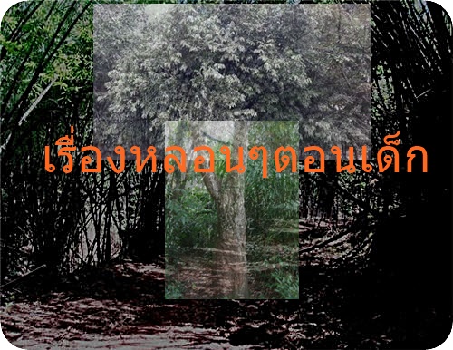 155.jpg