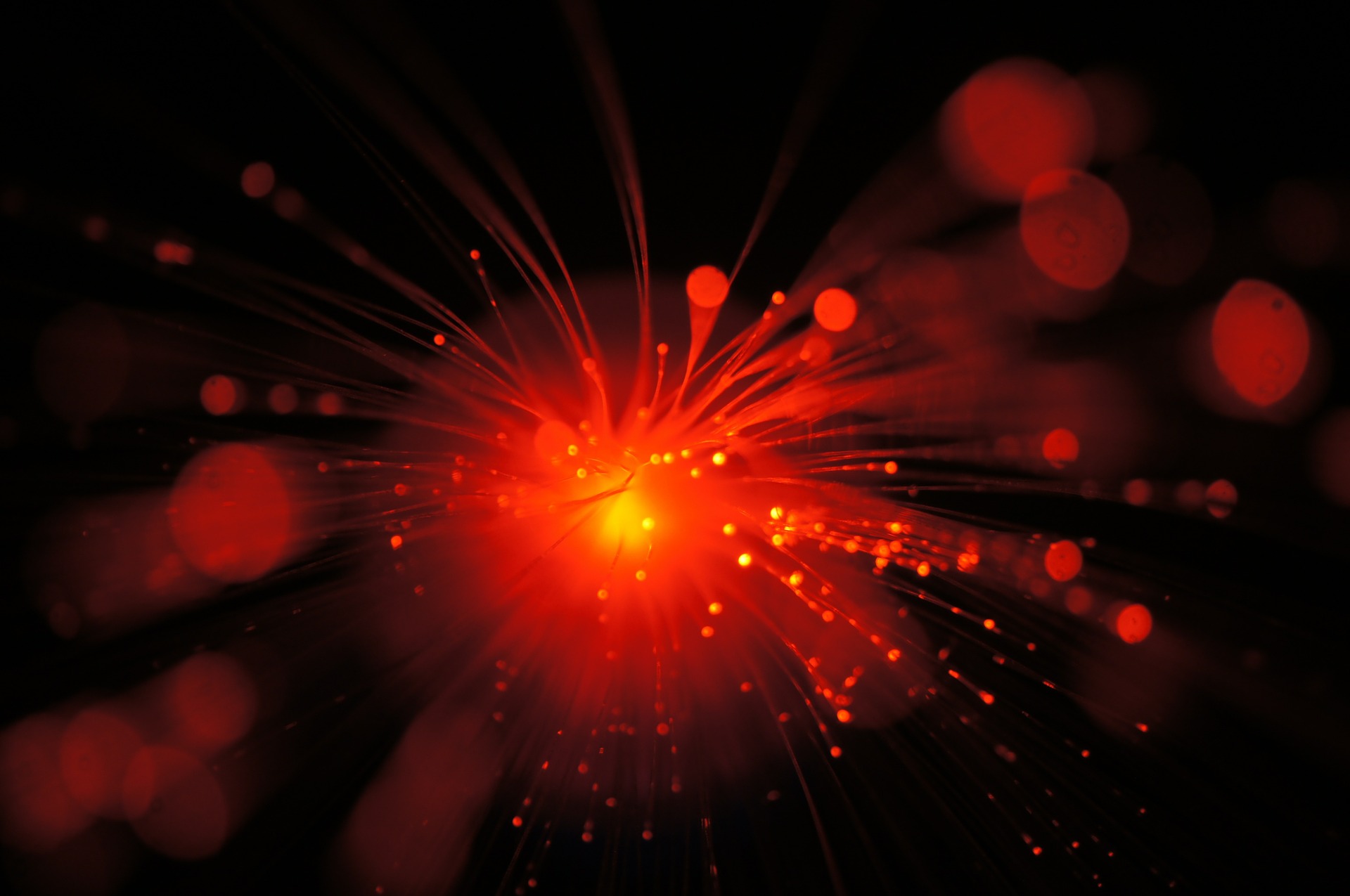 light579290_1920.jpg