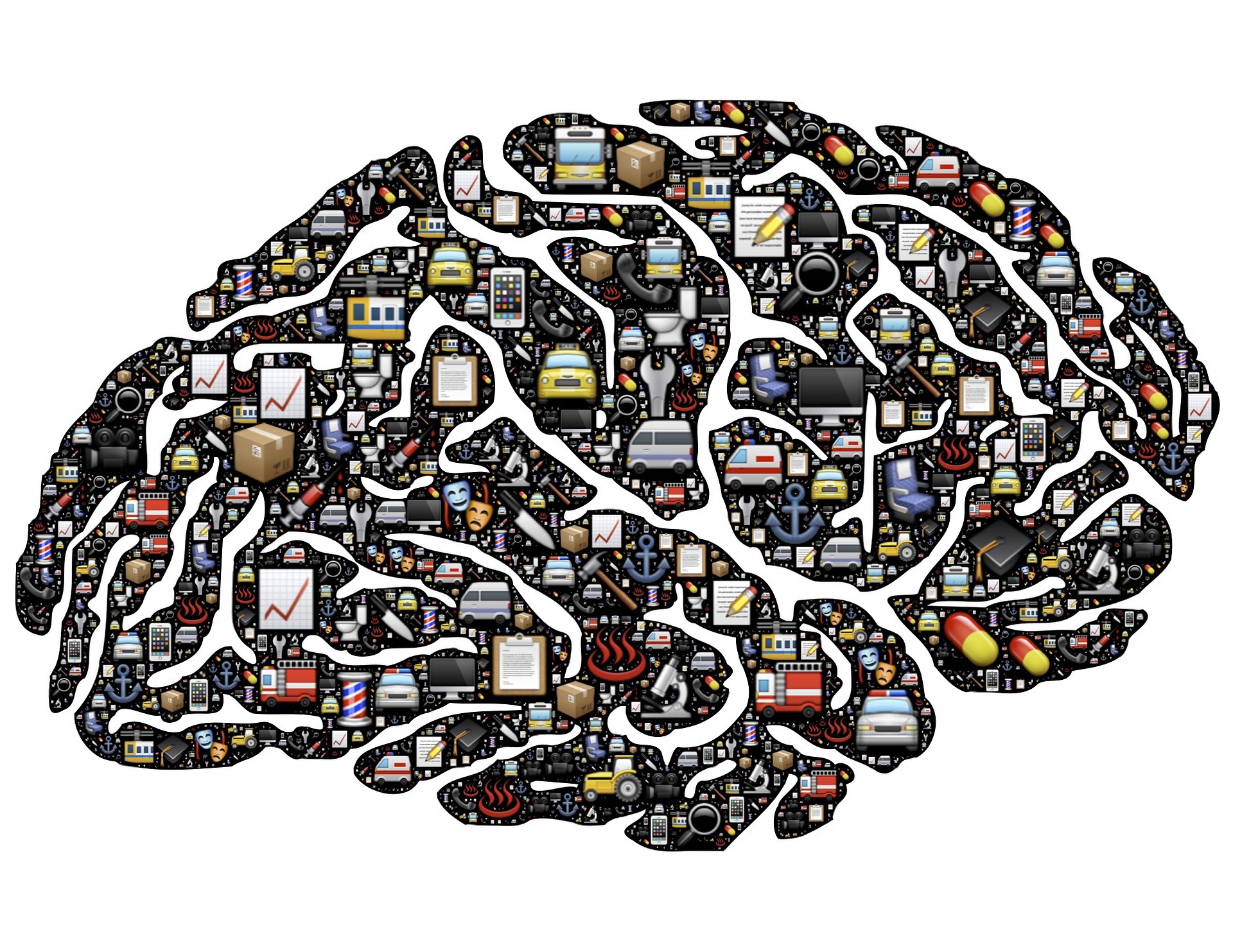 brain954822_1920.jpg