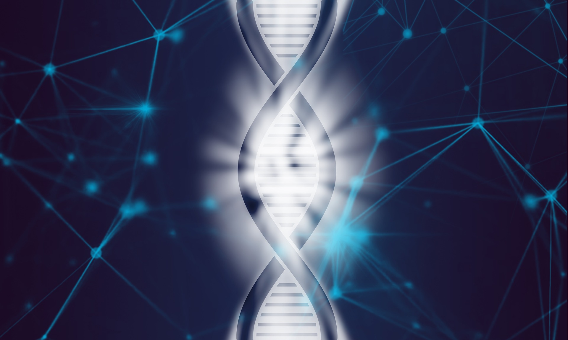 dna4068826_1920.jpg