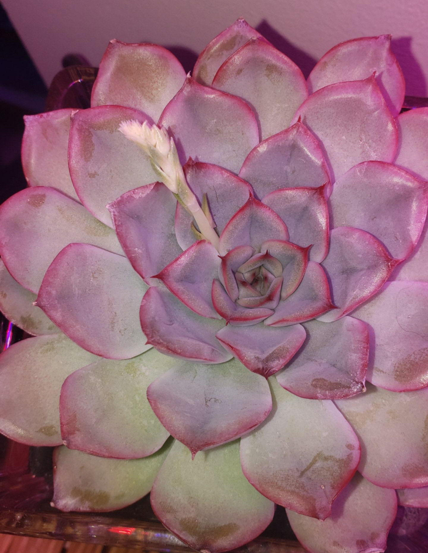 20191228_100120.jpg