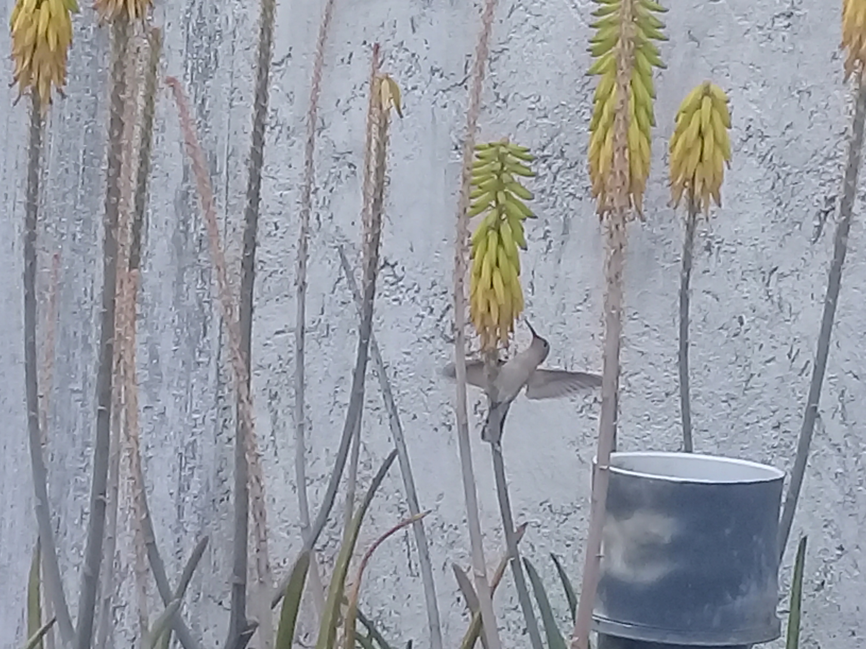 20210325_171055.jpg