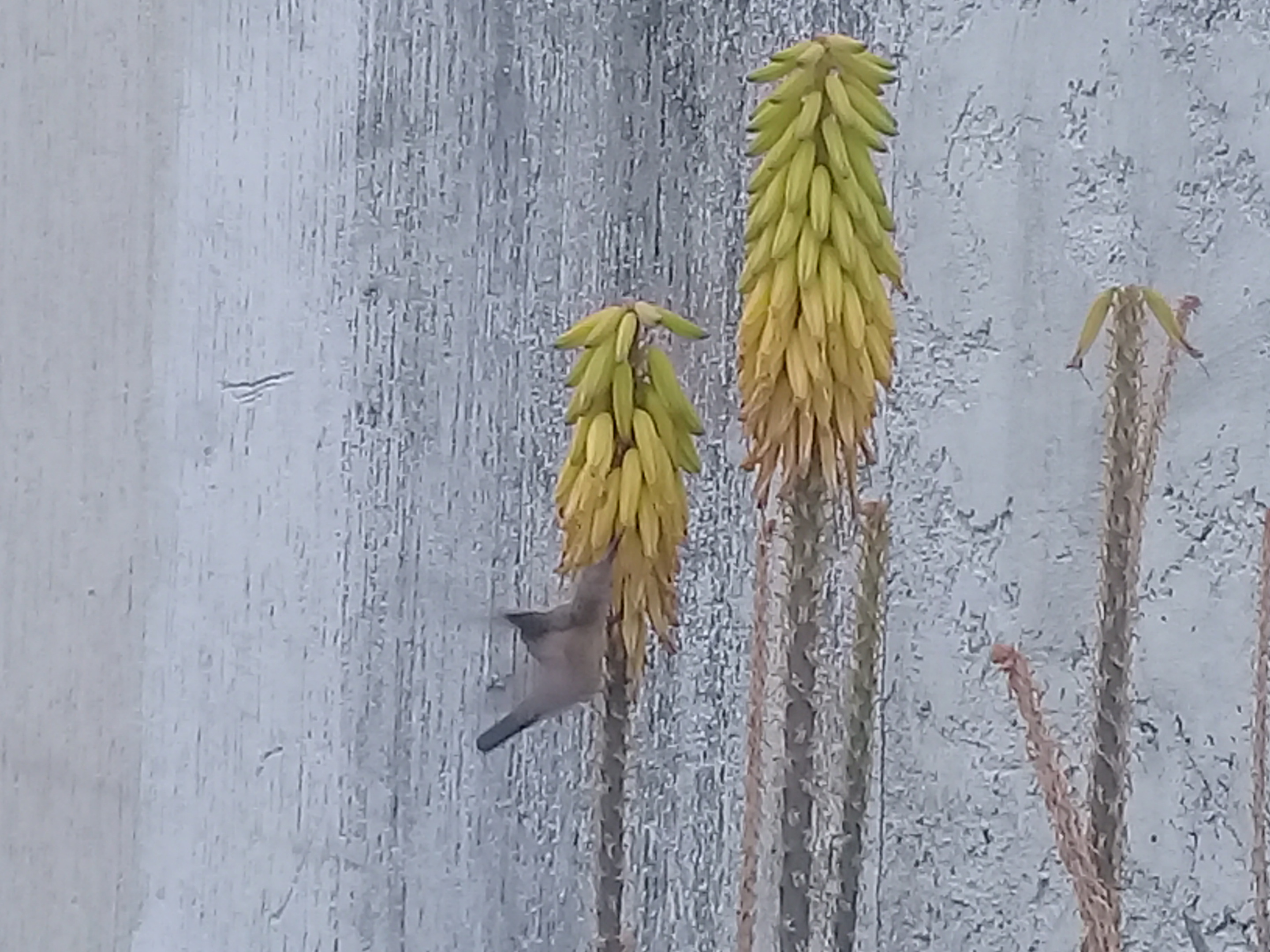 20210325_171106.jpg