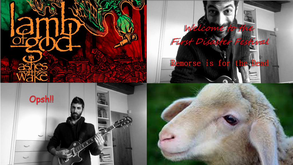 lambSnap666.jpg