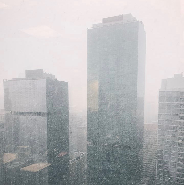 IMG_3206.jpeg