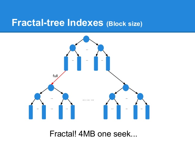 indexingdelightthinkingcapoffractaltreeindexes23638.jpg