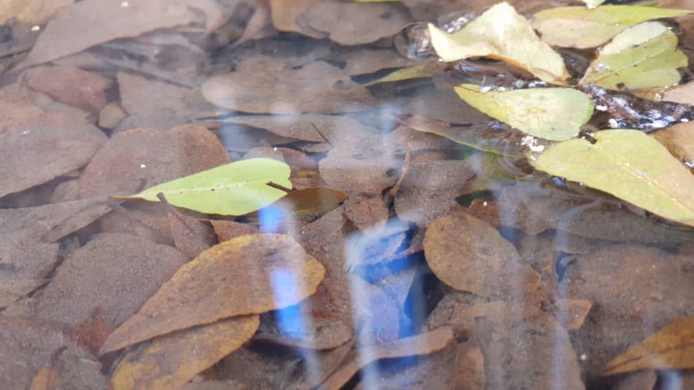 IMG20191009WA0027.jpg