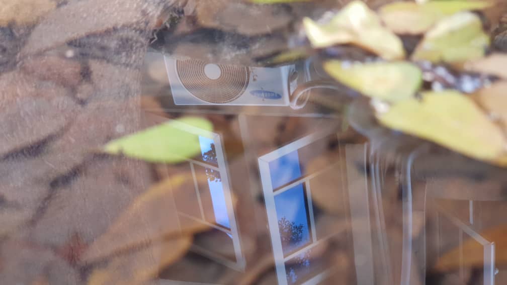 IMG20191009WA0032.jpg