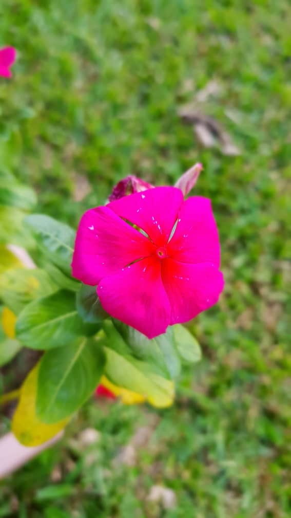 IMG20190929WA0022.jpg