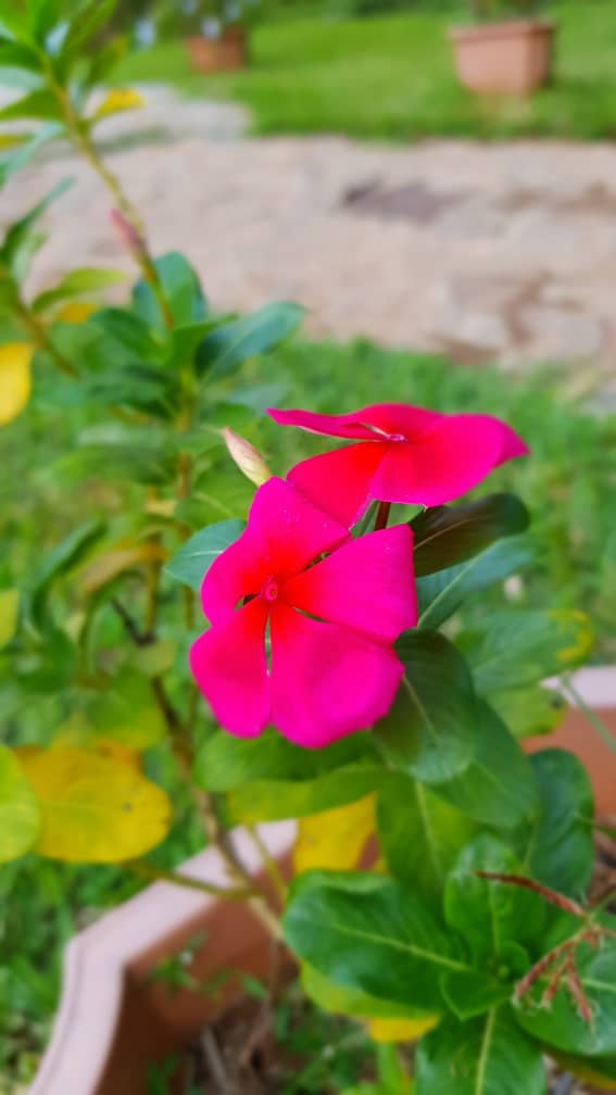 IMG20190929WA0028.jpg