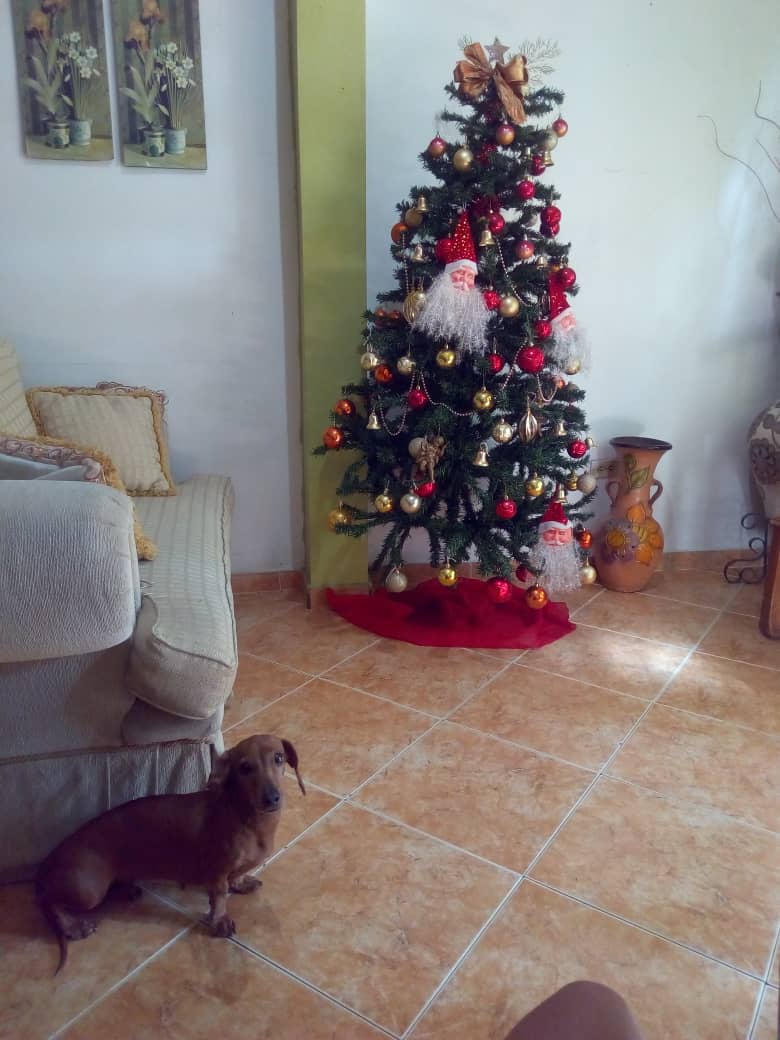 Mi hija luna